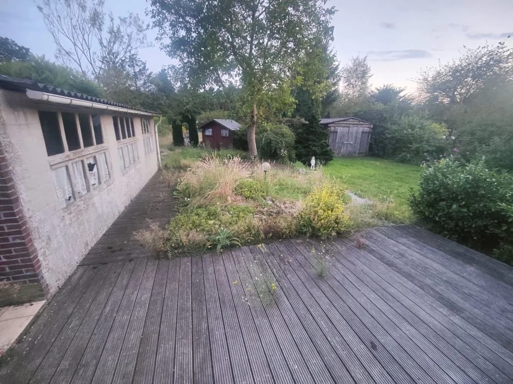 Outdoor garden with wooden deck, overgrown plants, tree, and shed