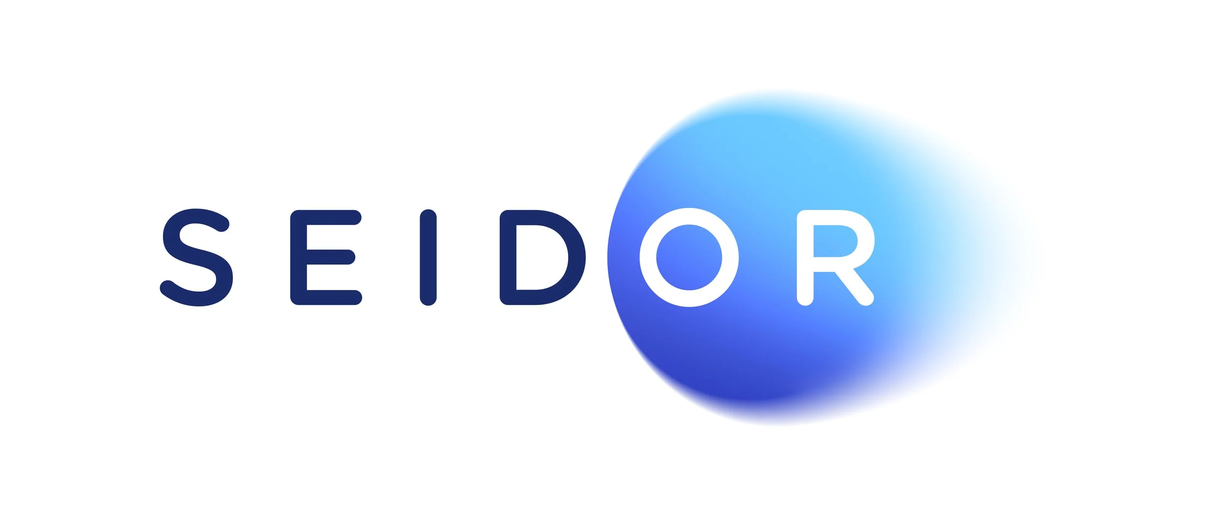 Seidor.  Technology Consulting.  SAP.