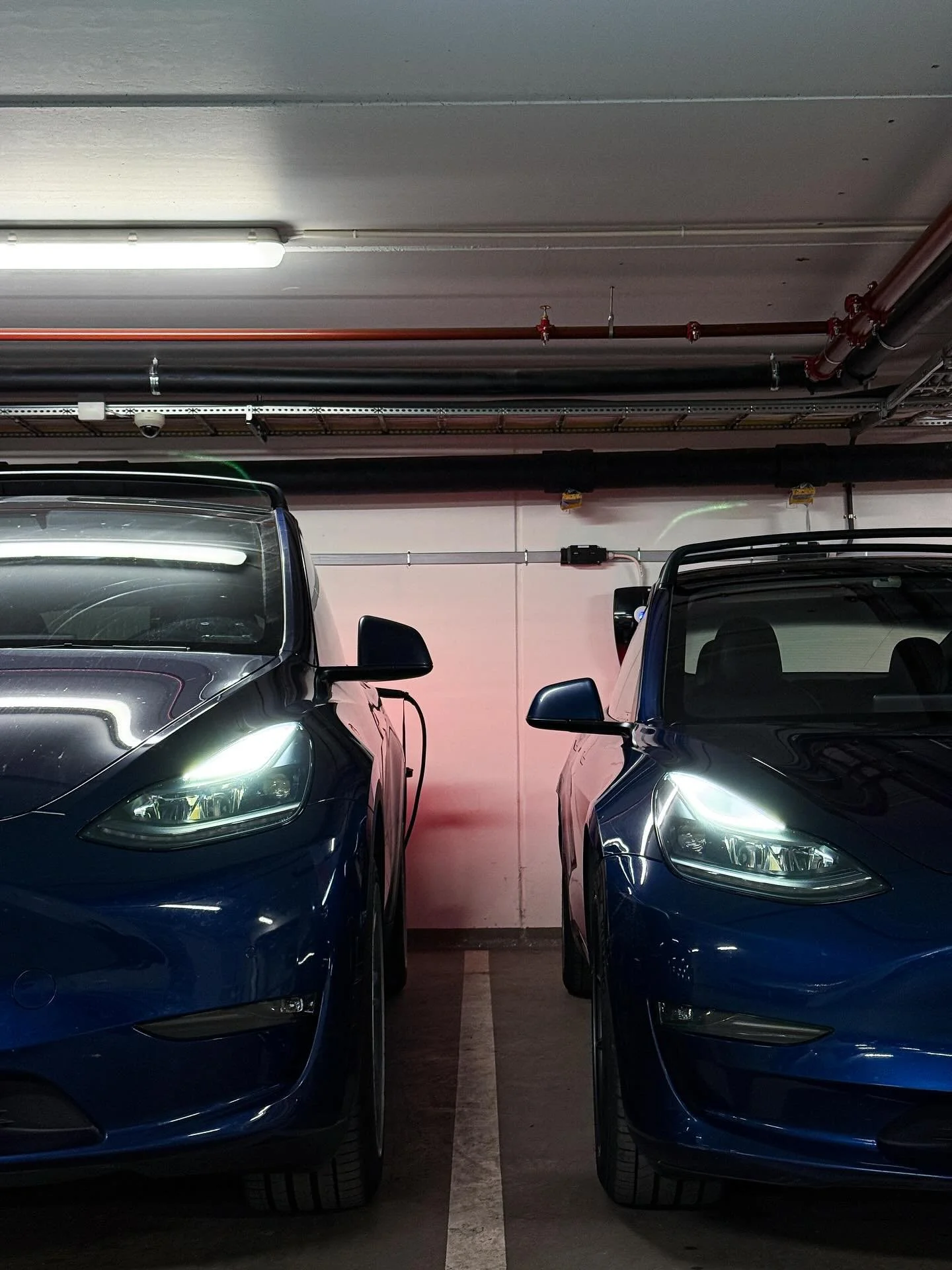 Velg den som passer best i dag – og en annen i morgen⚡️#fleksibilitet #bilkollektivet #grønnereliv #bildeling #modely #model3