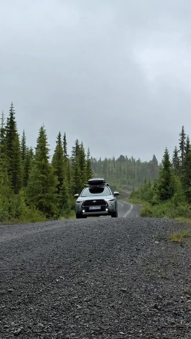 Med bildeling slipper du å eie SUV året rundt - men du har den når du trenger den. Hva med å kjøre denne flotte Corolla Crossen i høstferien?😌🍂
#bilkollektivet #bildeling #corollacross