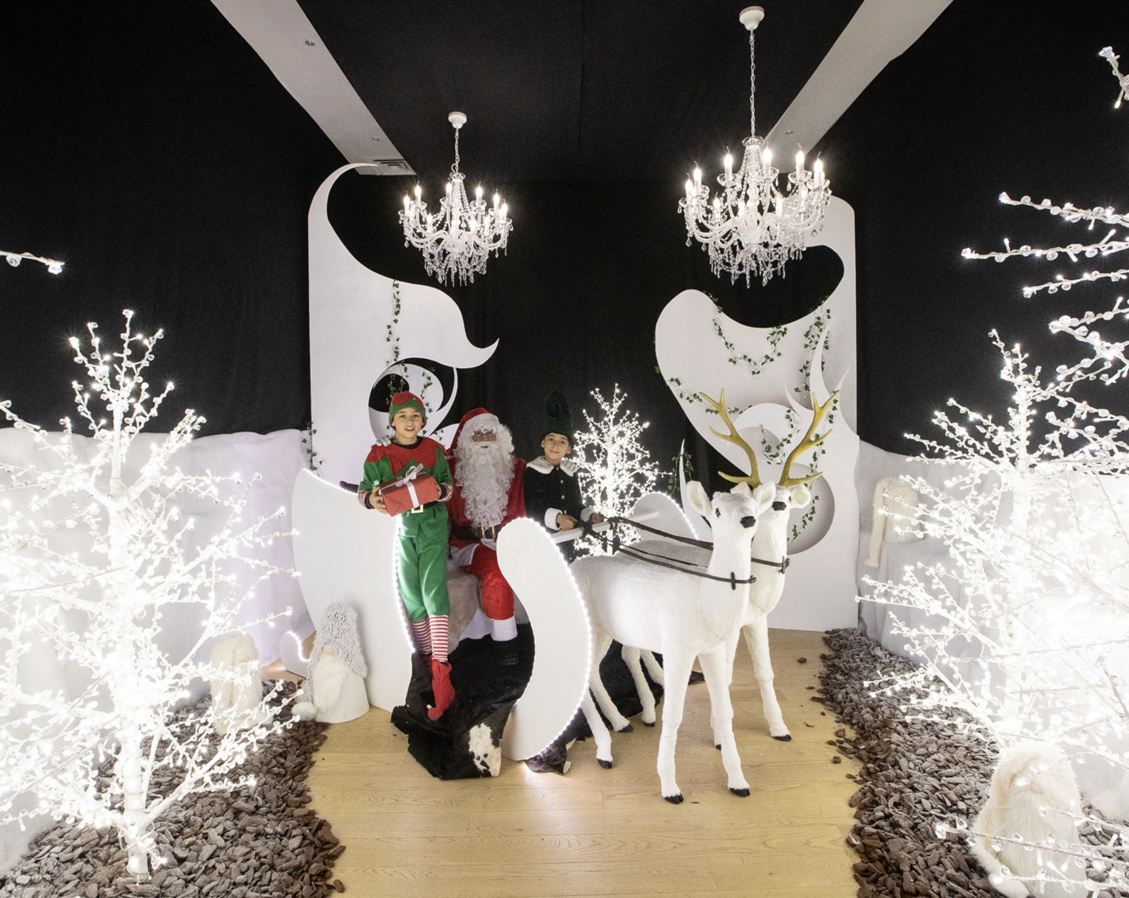 Capture d’écran 2026-01-20 à 15.00.08.png