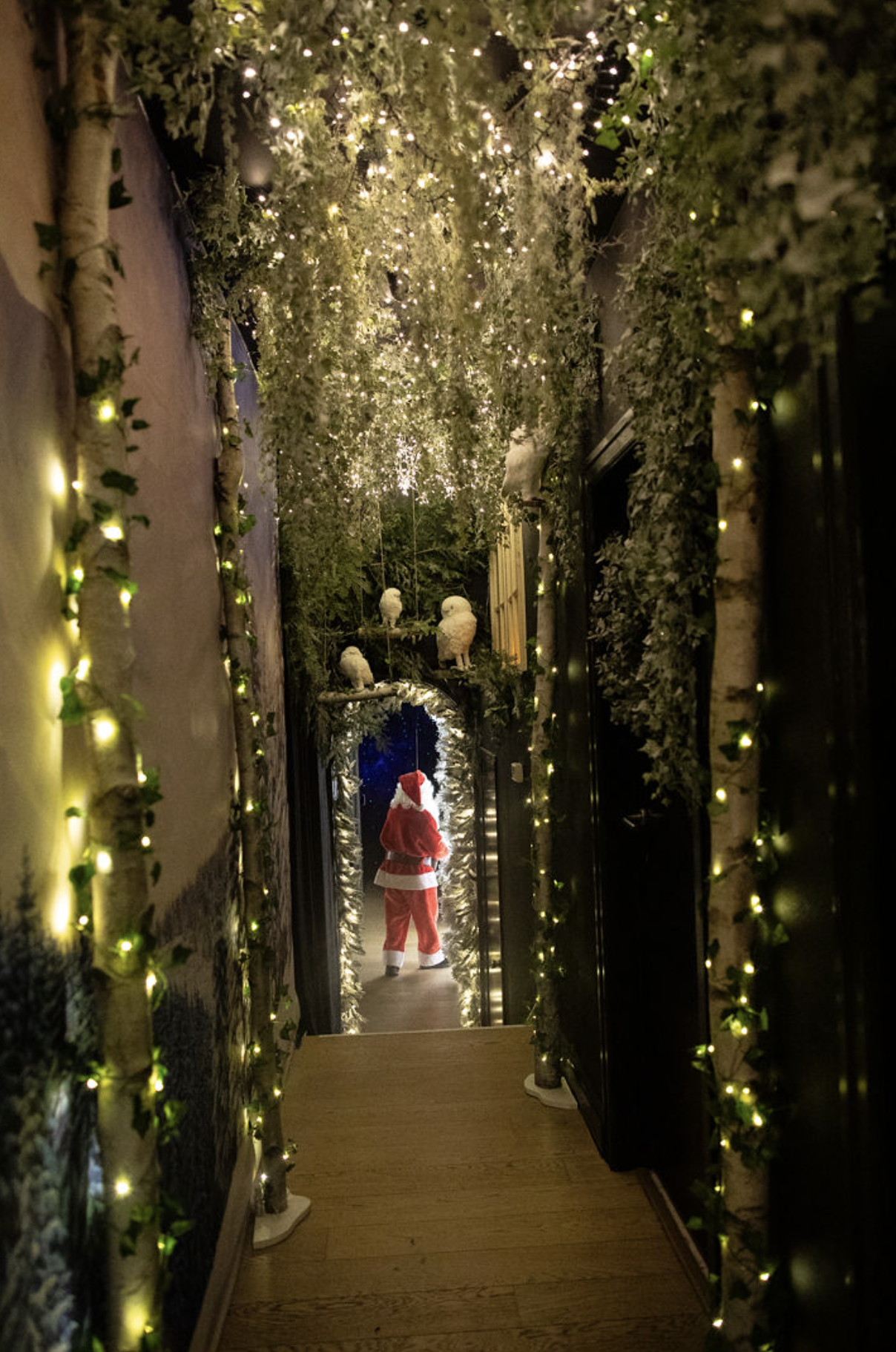 Capture d’écran 2026-01-20 à 14.59.22.png