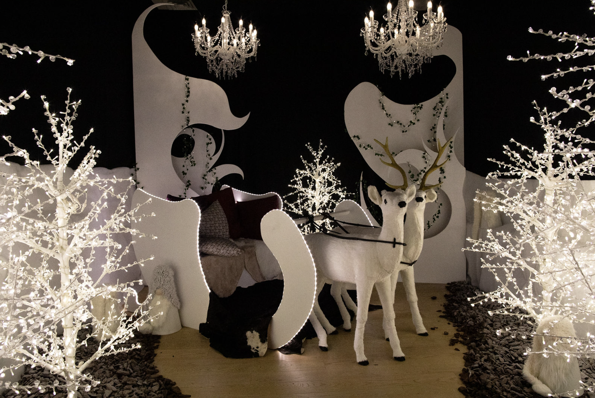 Capture d’écran 2026-01-20 à 15.01.46.png