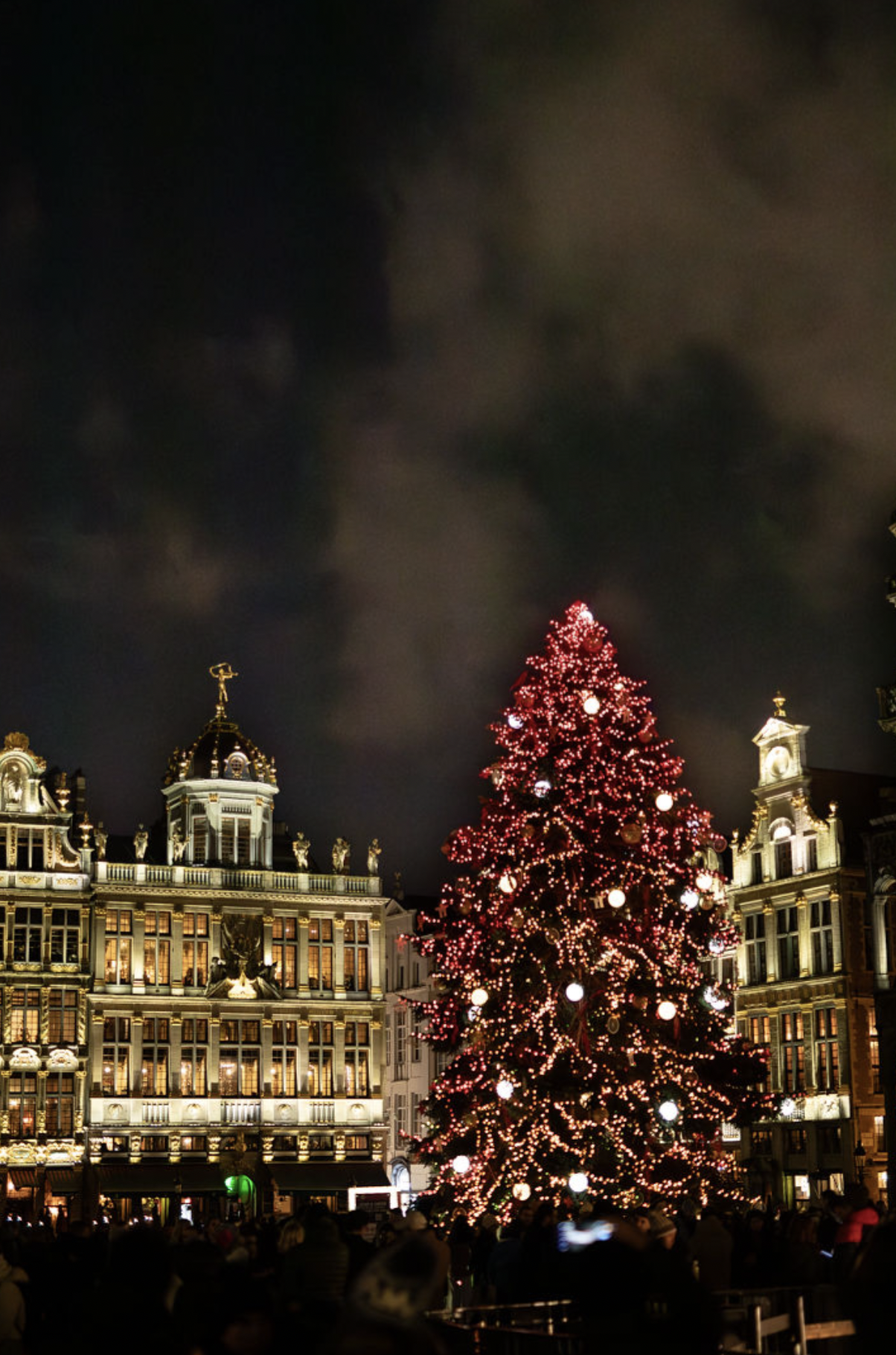 Capture d’écran 2026-01-20 à 14.59.44.png