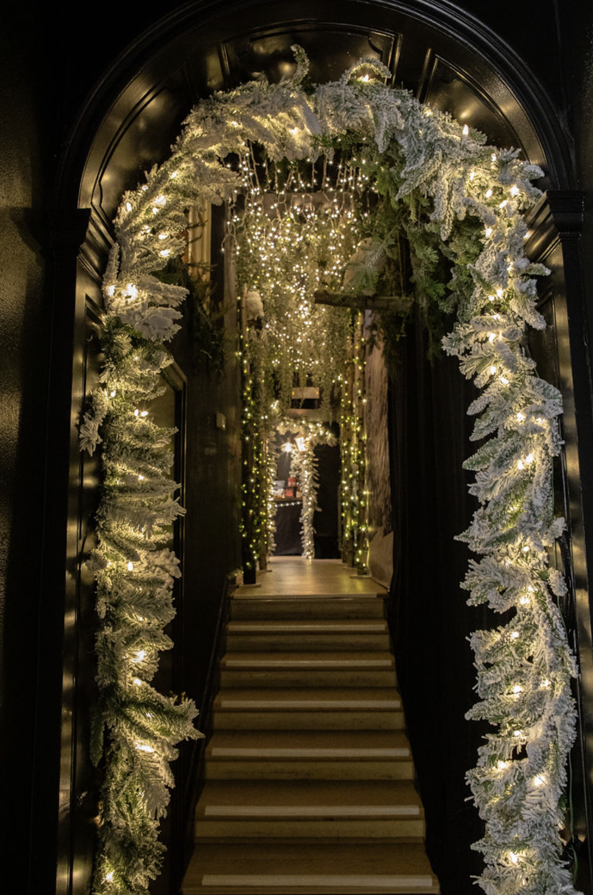 Capture d’écran 2026-01-20 à 15.00.48.png