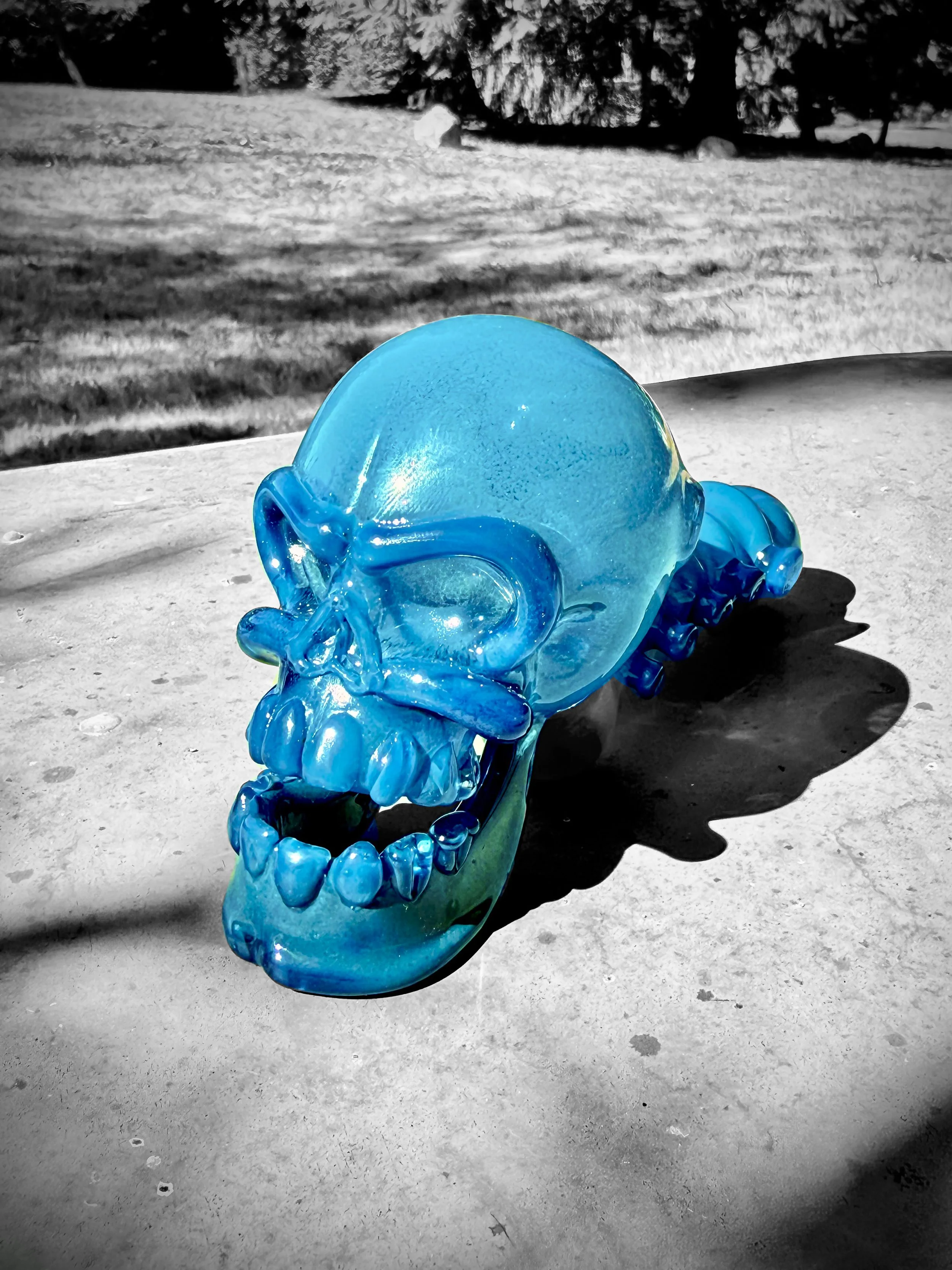 J Smart Glass Dry Functionals Skull Sherlock front left.jpg