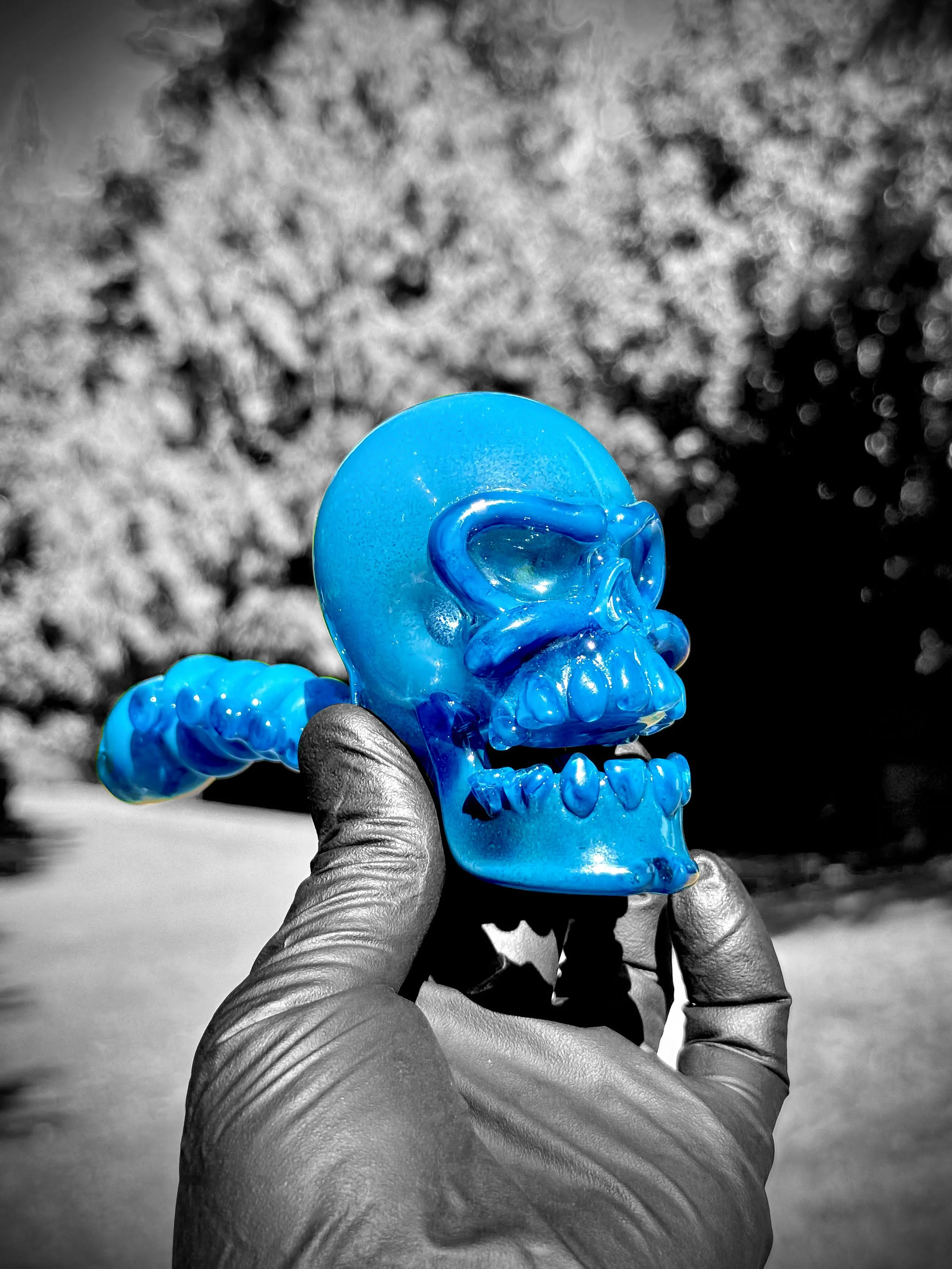 J Smart Glass Dry Functionals Skull Sherlock front right side.jpg