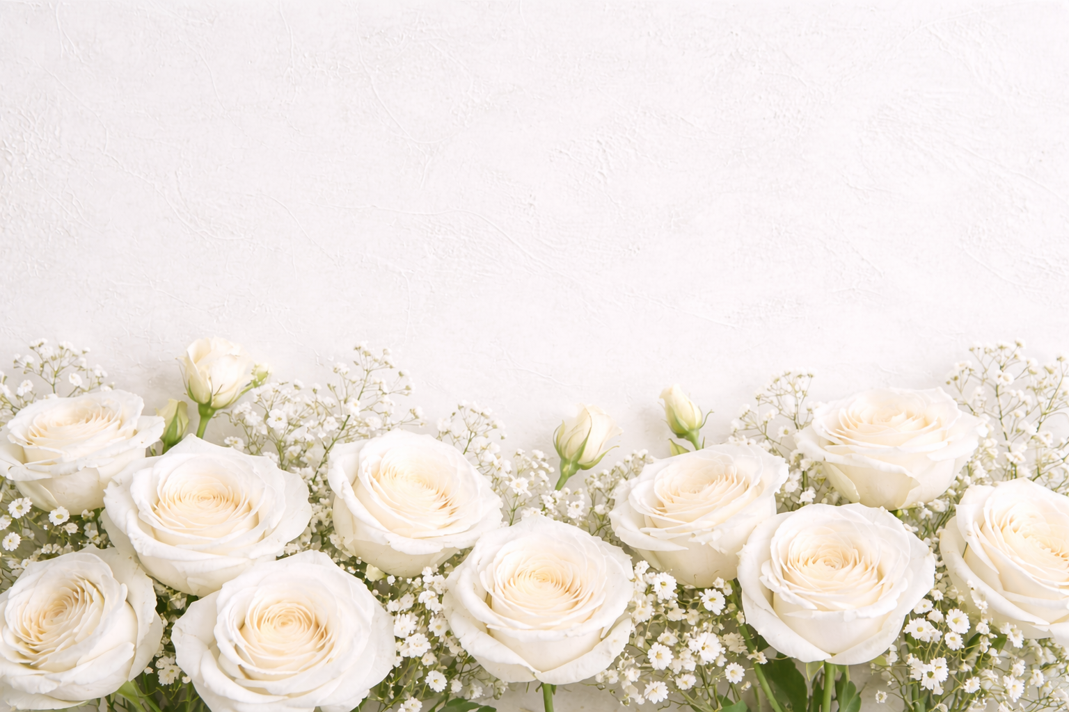 Border of white roses arranged along the bottom of the image against a very light neutral beige textured background, with soft lighting and open space above for text.