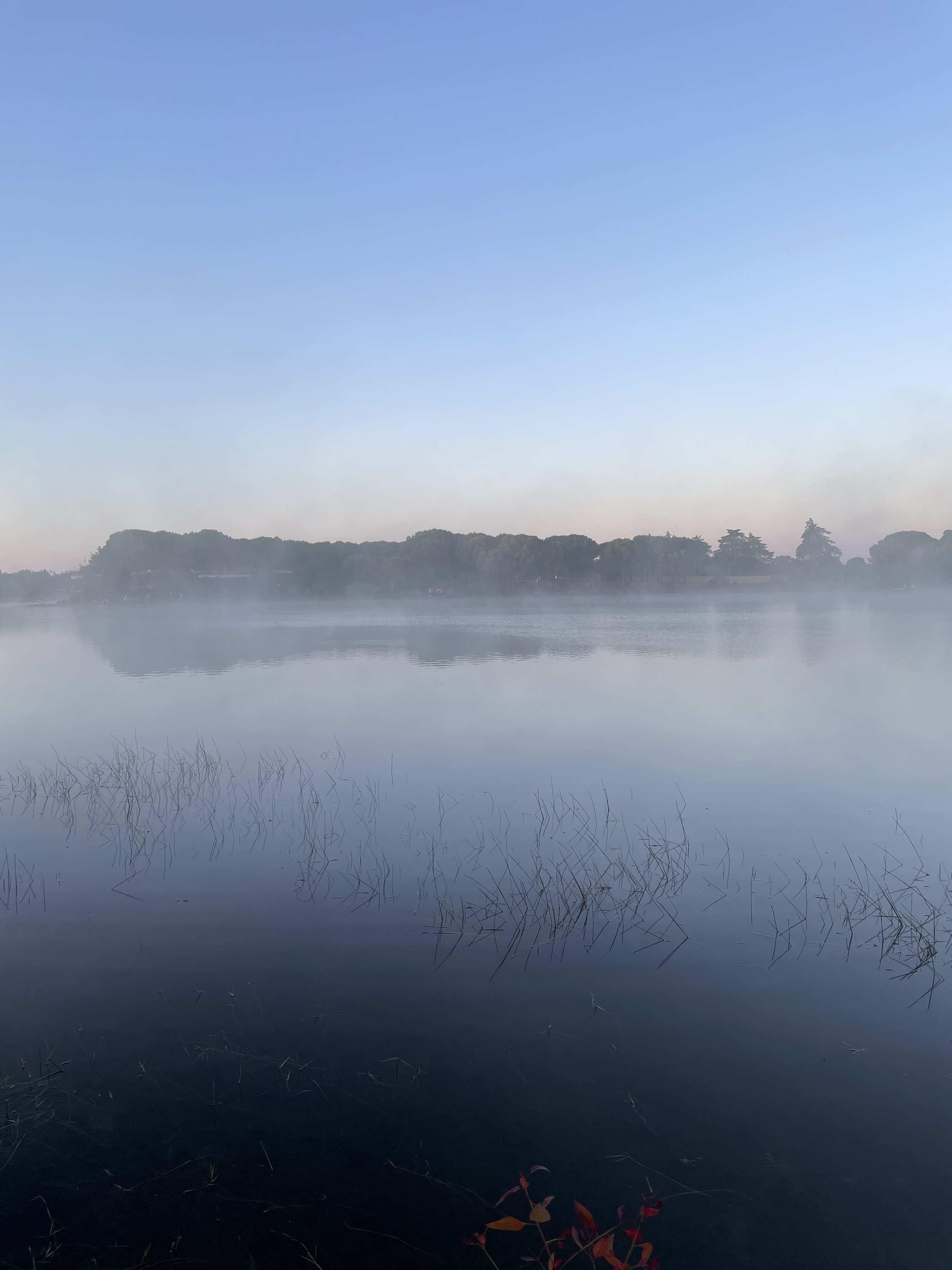 Ein ruhiger See mit Nebel über dem Wasser und einer ungekennzeichneten Baum- und Hügelkette im Hintergrund unter einem klaren blauen Himmel.