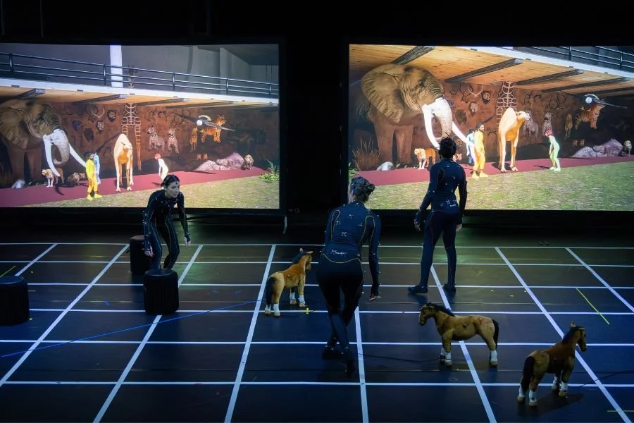 A workshop using sensors to map movement and convert it to digital representations on a large screen