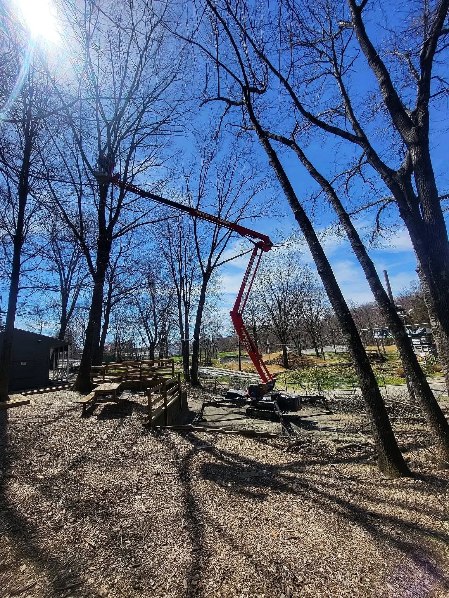 Grapple Saw Crane clearing wooded area.