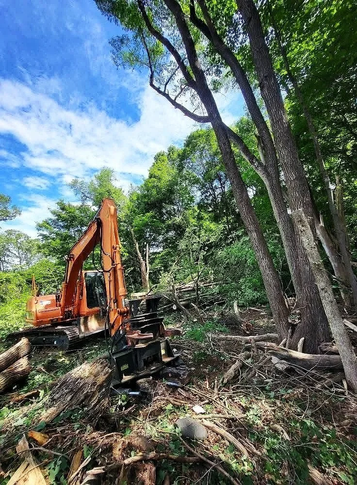 Machinery clearing woodland