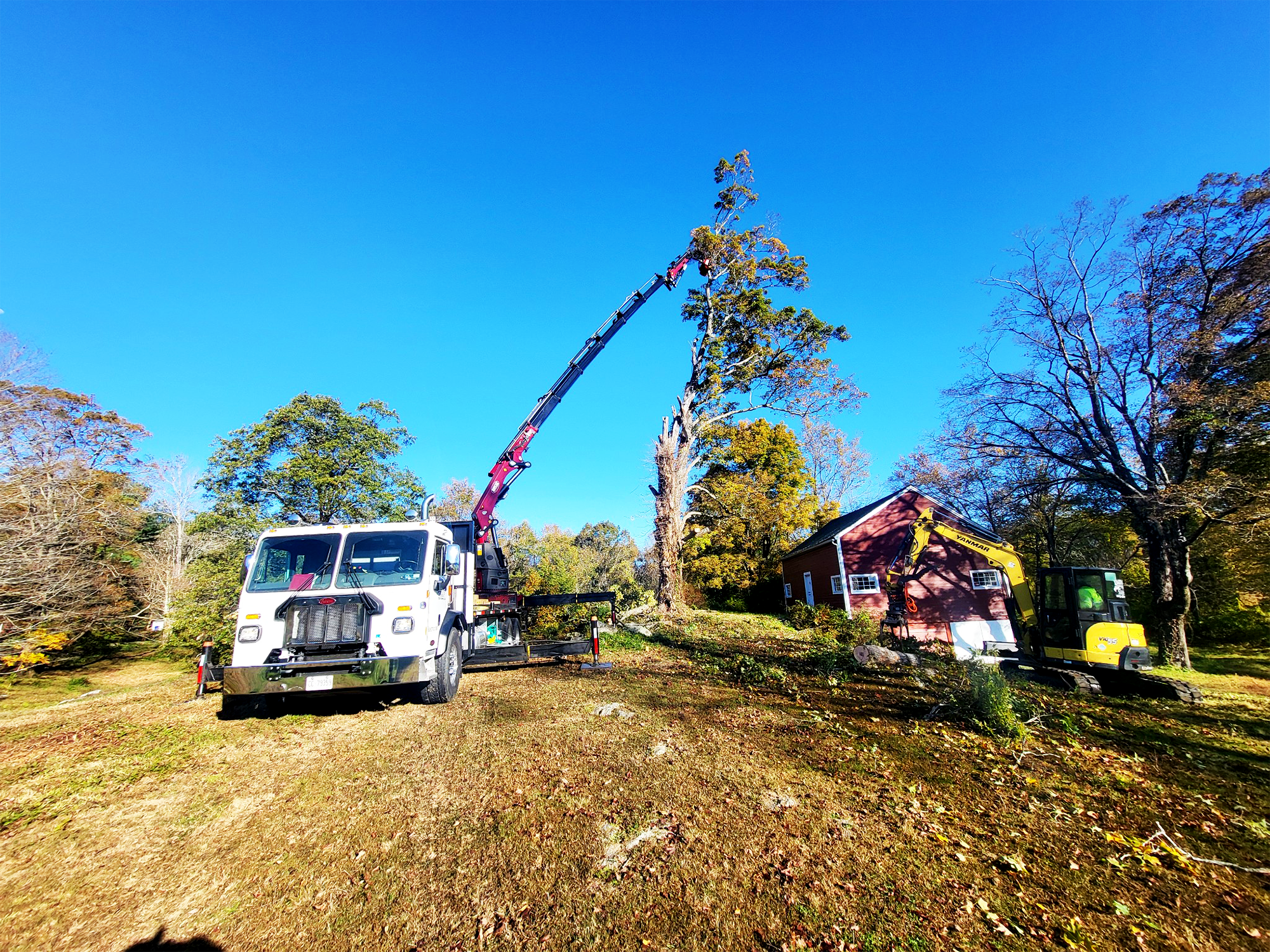 Dillon Excavating - Backyard clearing - after 2.png