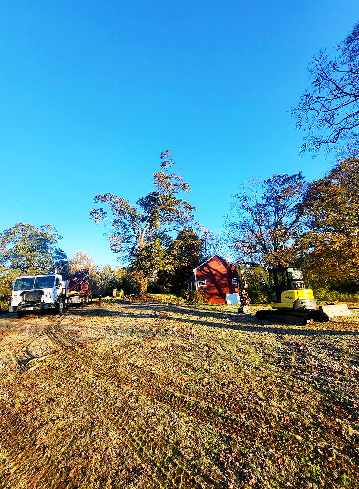 Dillon Excavating - Backyard clearing - after.png