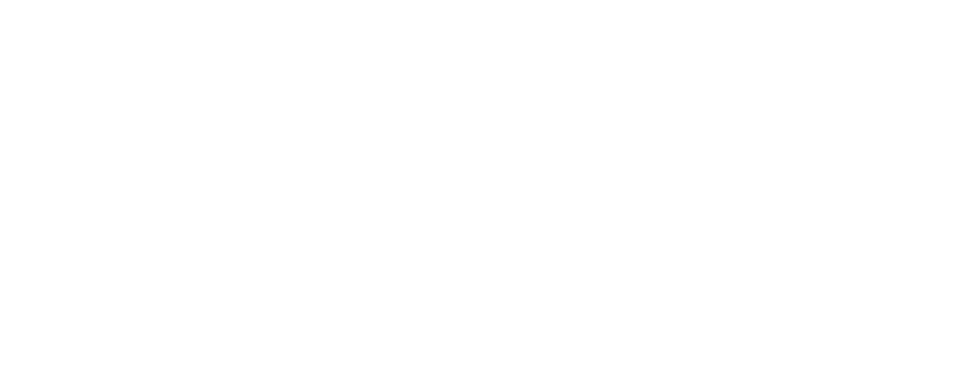 Lyons logo with stylized text and geometric lines