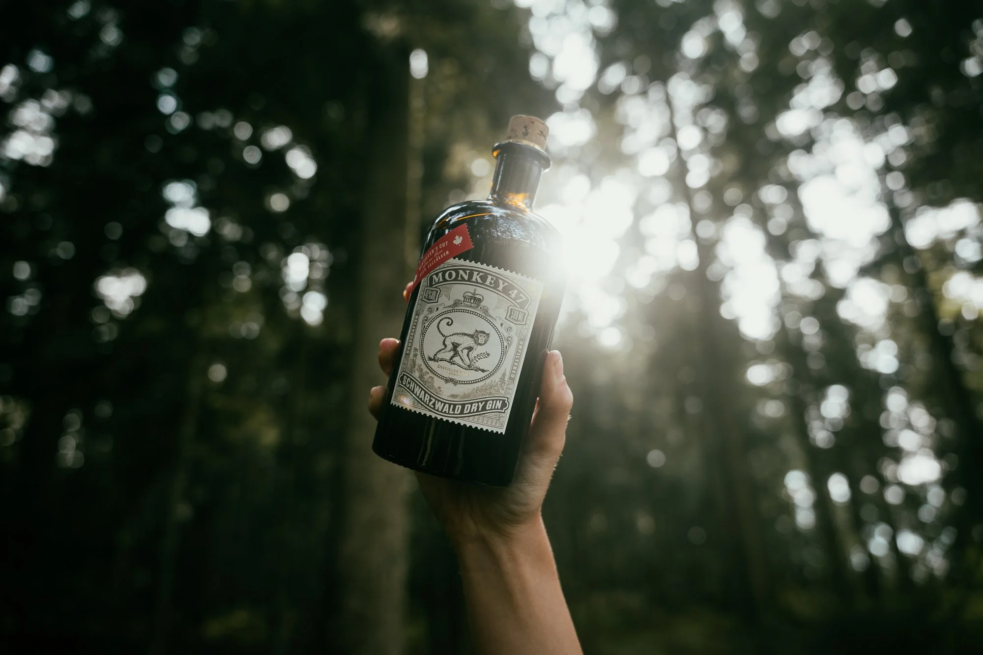 Eine Hand hält eine Flasche Monkey 47 Schwarzwald Dry Gin vor einem Sonnenlicht im Wald, umgeben von Bäumen und Blättern.