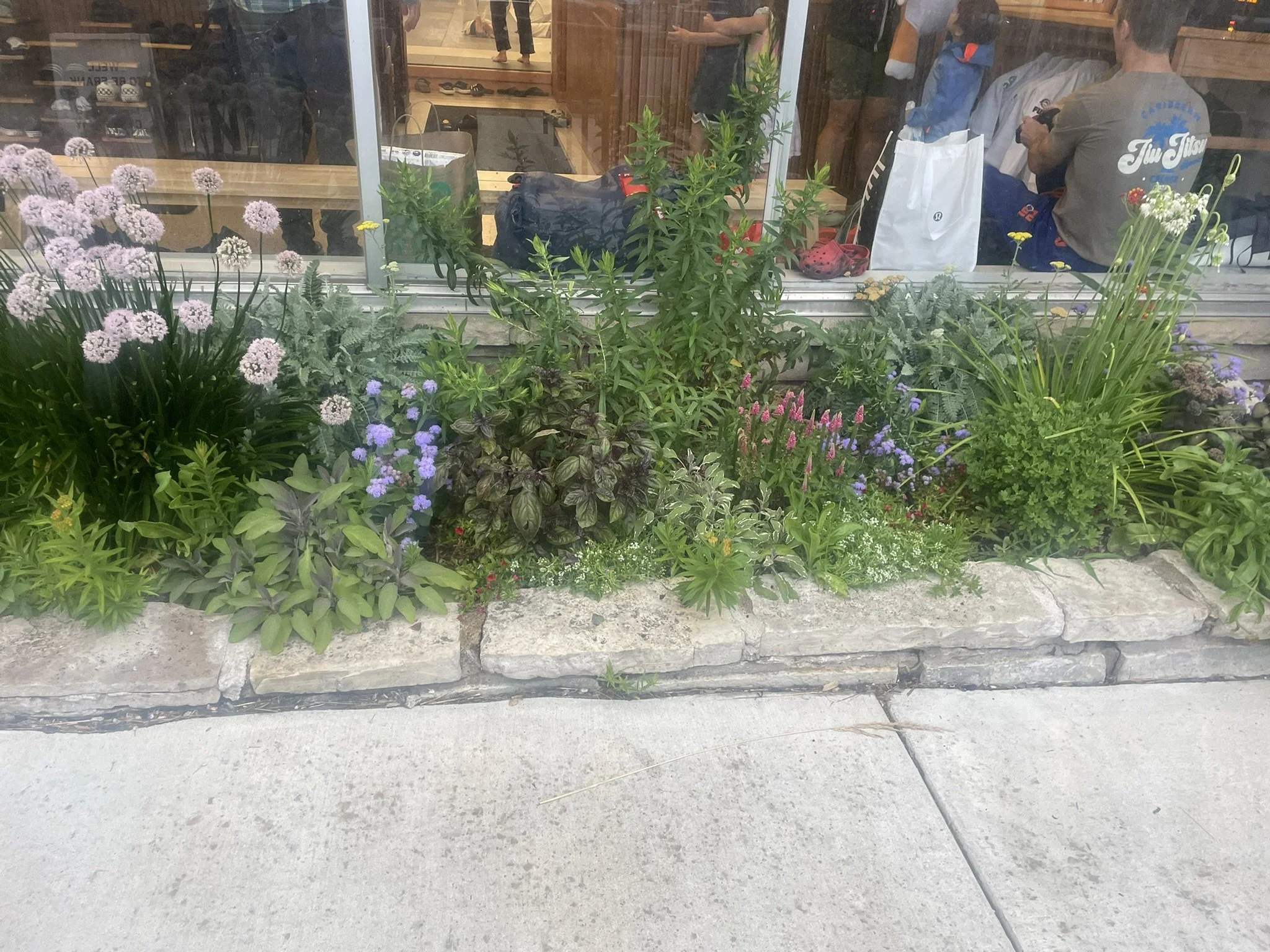 DojoJuly2025 (1).jpeg