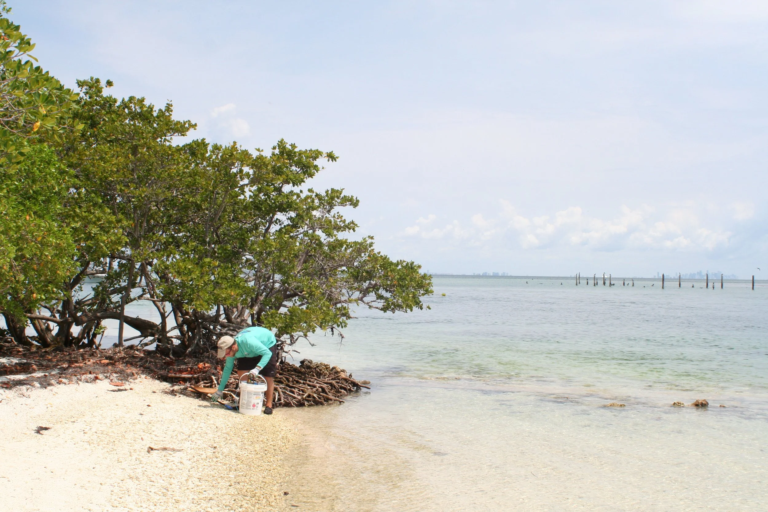 Boca Chita Key Debris Cleanup