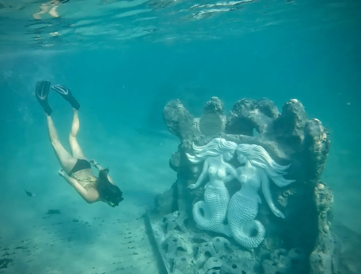 Guardians of the Reef Guided Snorkel