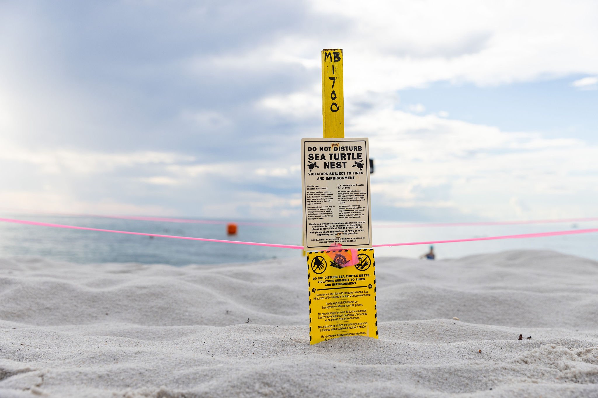Sea turtle nest warning sign on sandy beach with ocean in background, marked with pink tape and cautionary text about disturbing the nest.