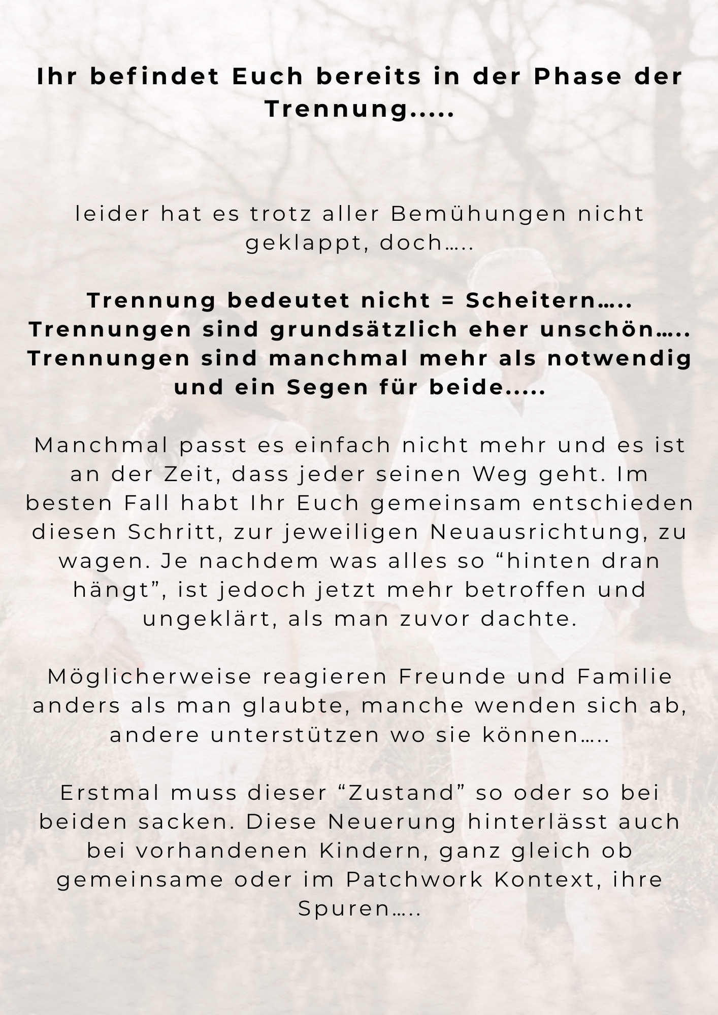 Trennungsberatung 3.png