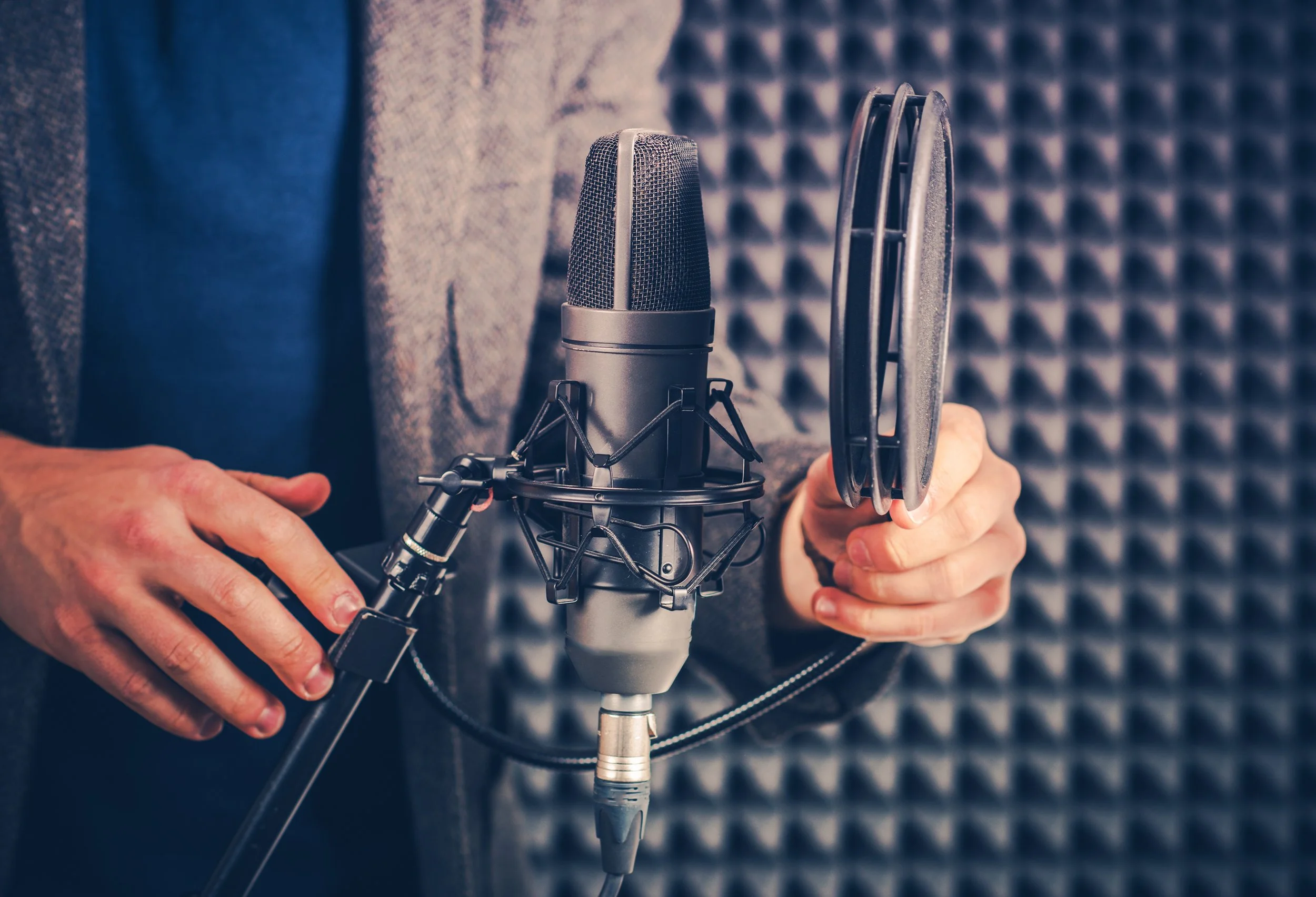 VOICE OVER SERVICES