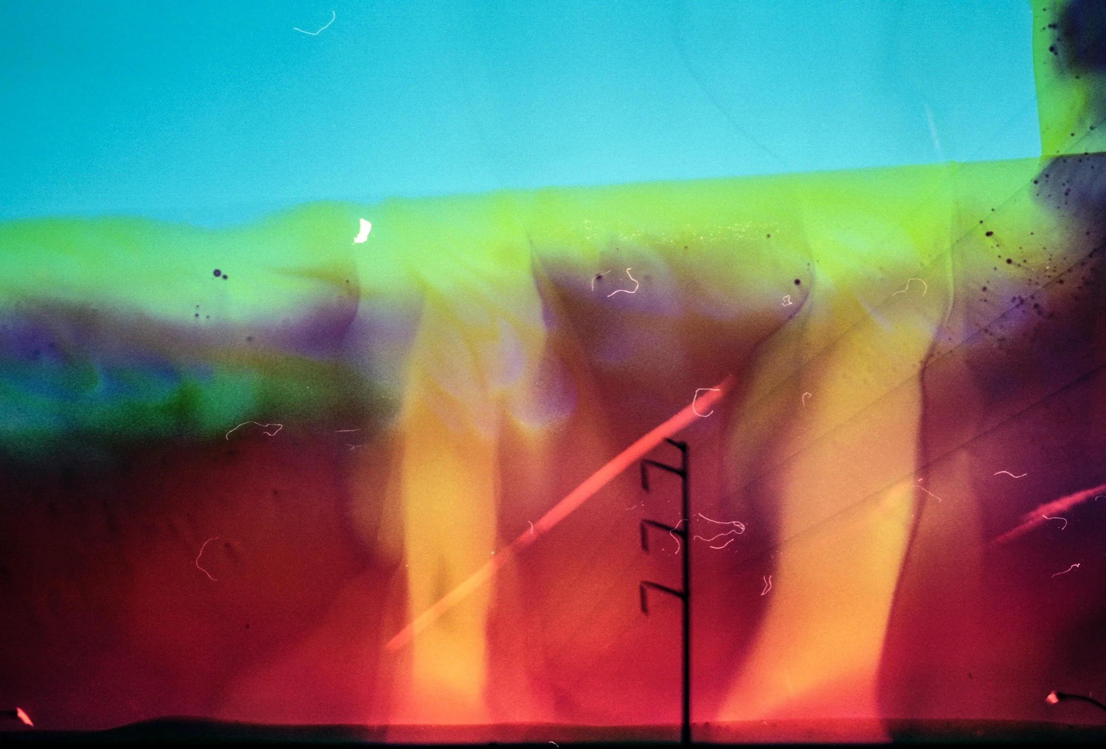 11.26.25 trix400 33 2.jpg