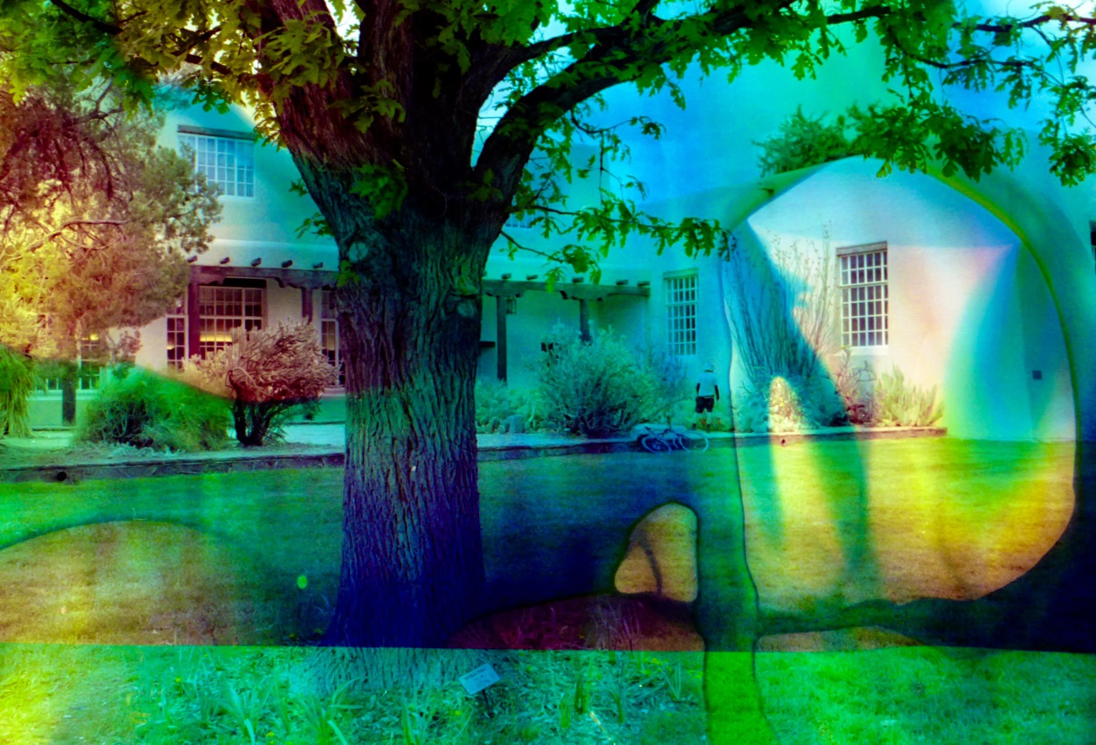 4.13.26 UNM Gold Blix 18.jpg