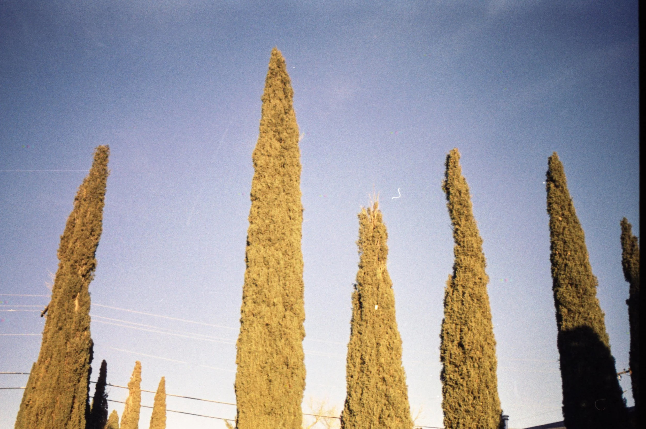 12.23.25 Exp Therapy 400 Bosque 46.jpg