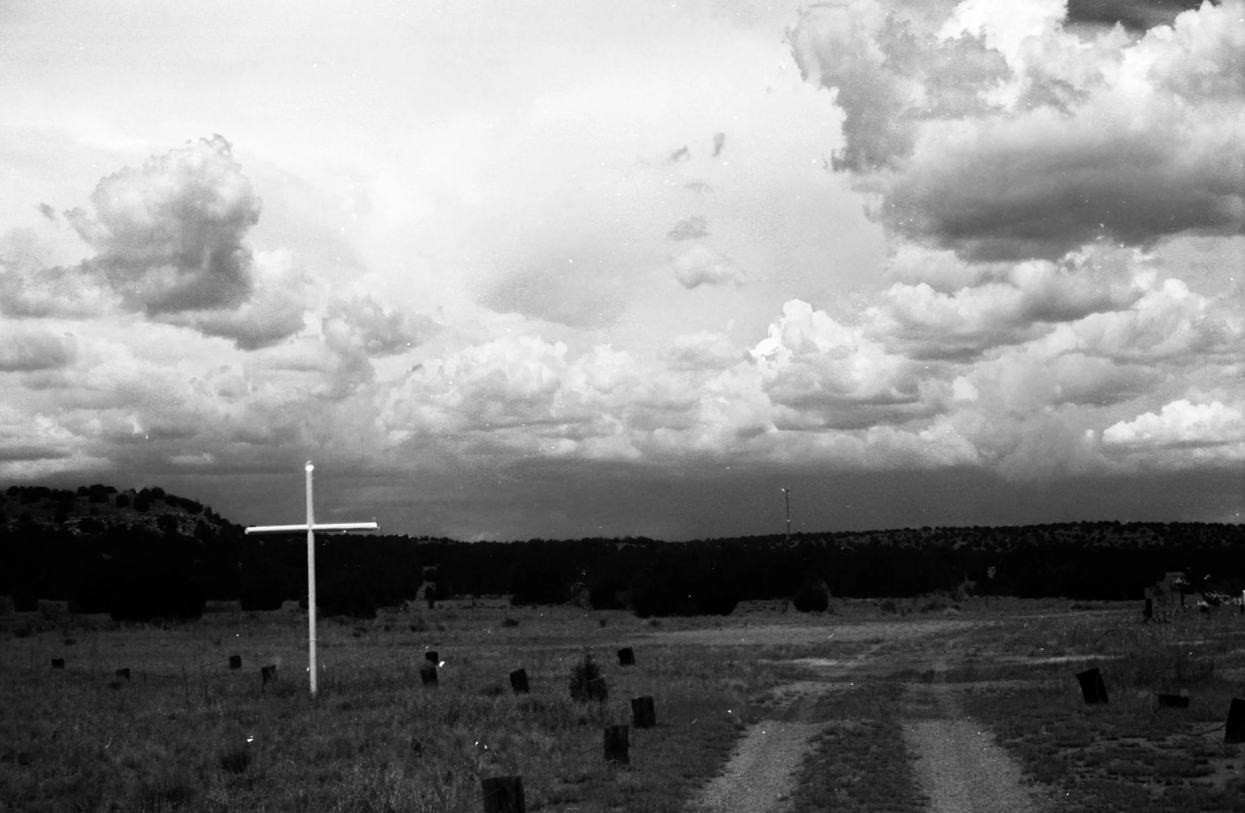 7.26.26 Leica Anton Chico Dilia 7.jpg