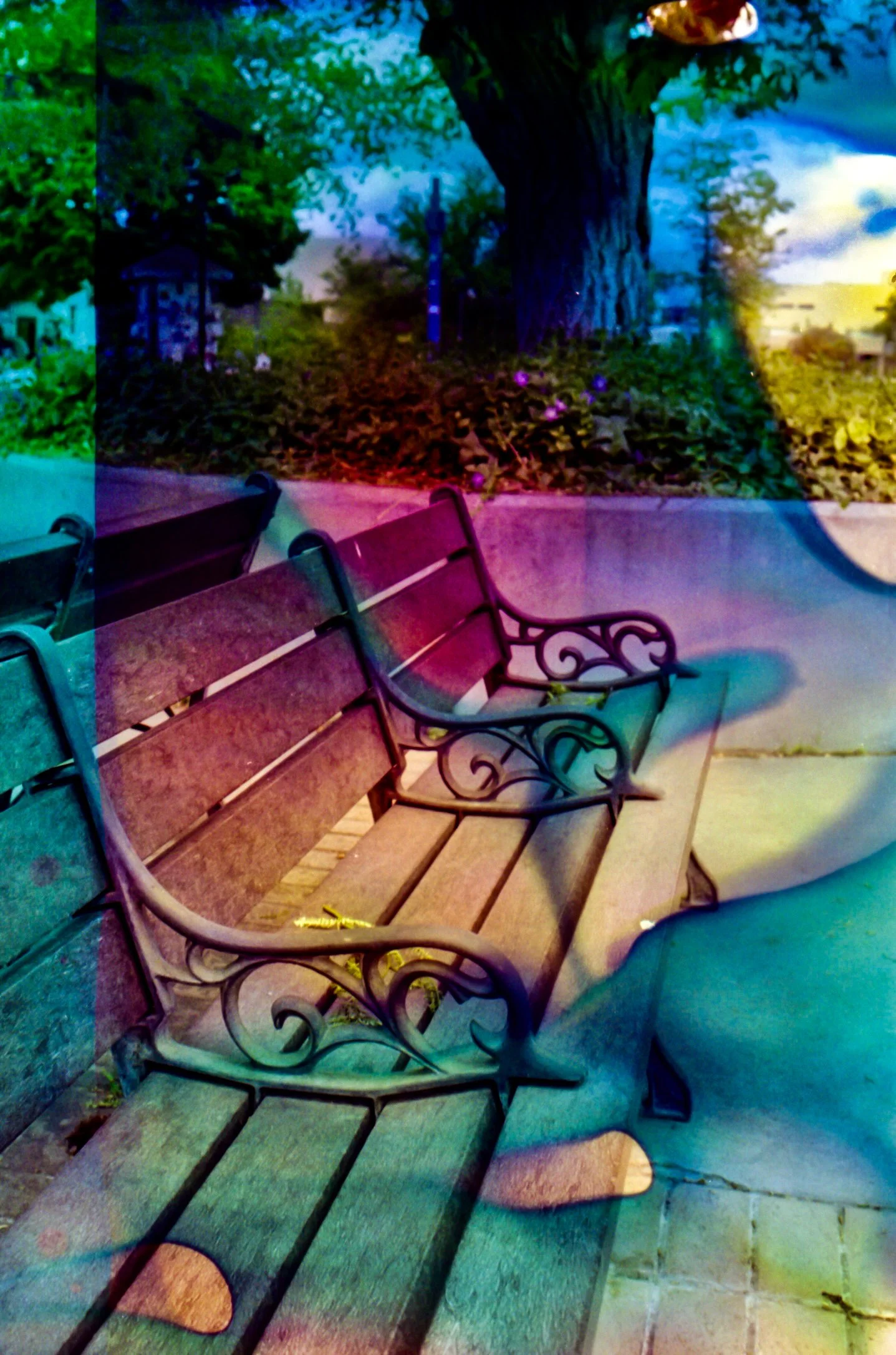 4.13.26 UNM Gold Blix 24.jpg