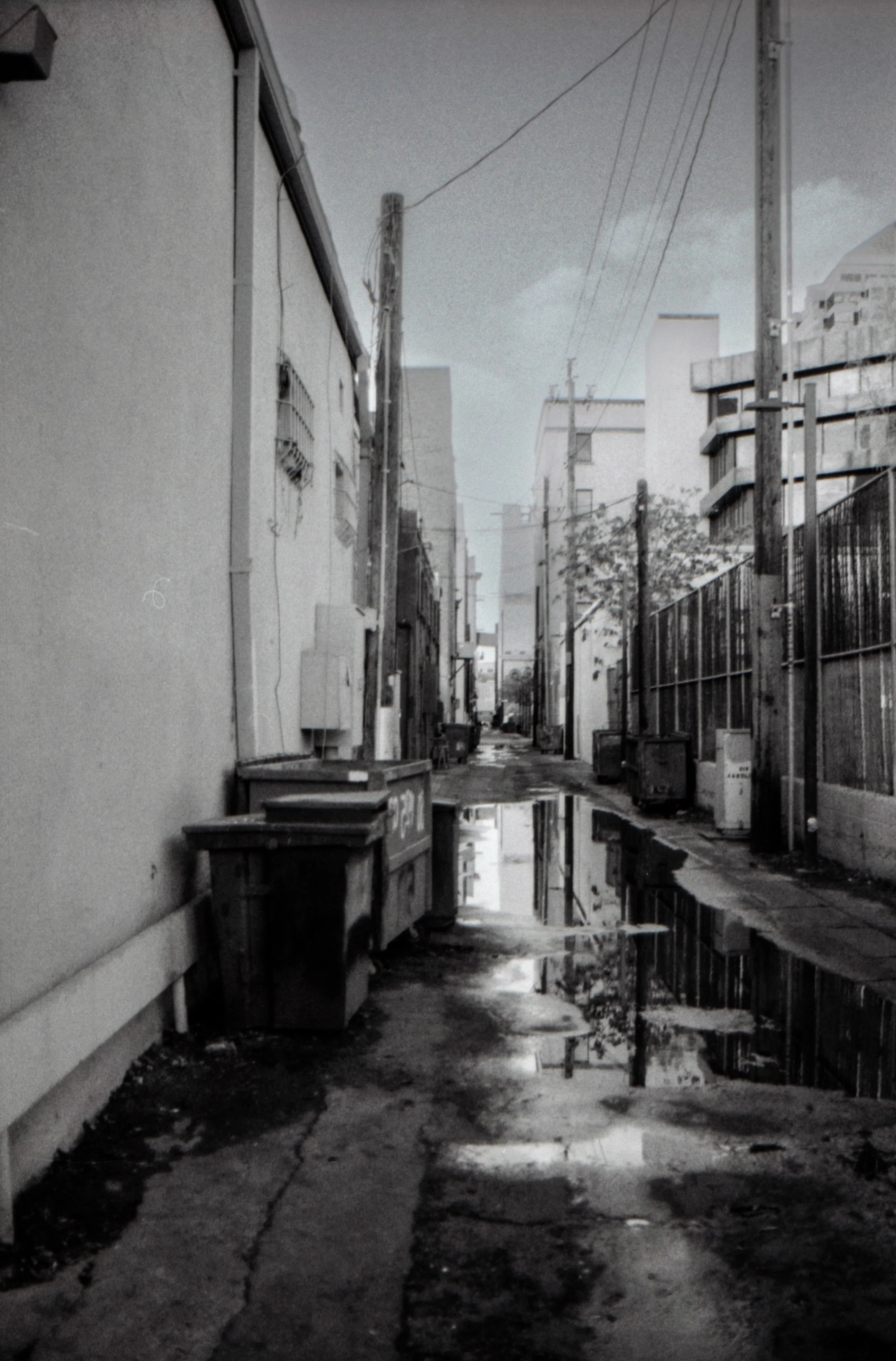 1.5.26 TRMax3200 BW under exposed 29.jpg