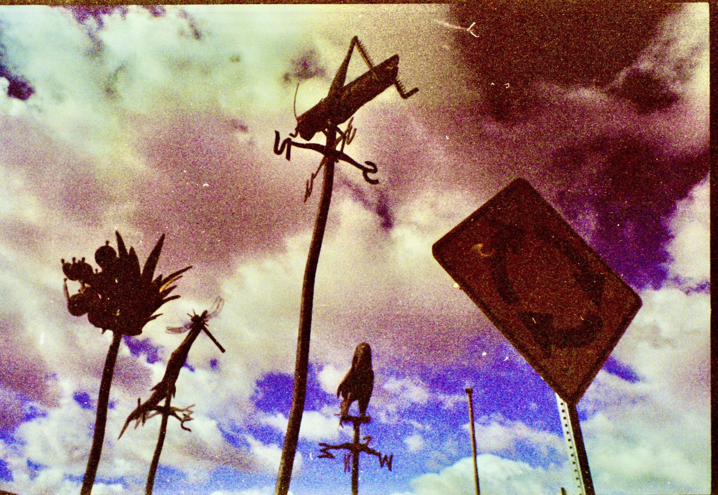 3.6.26 Portra400Biopark:Blix 23.jpeg