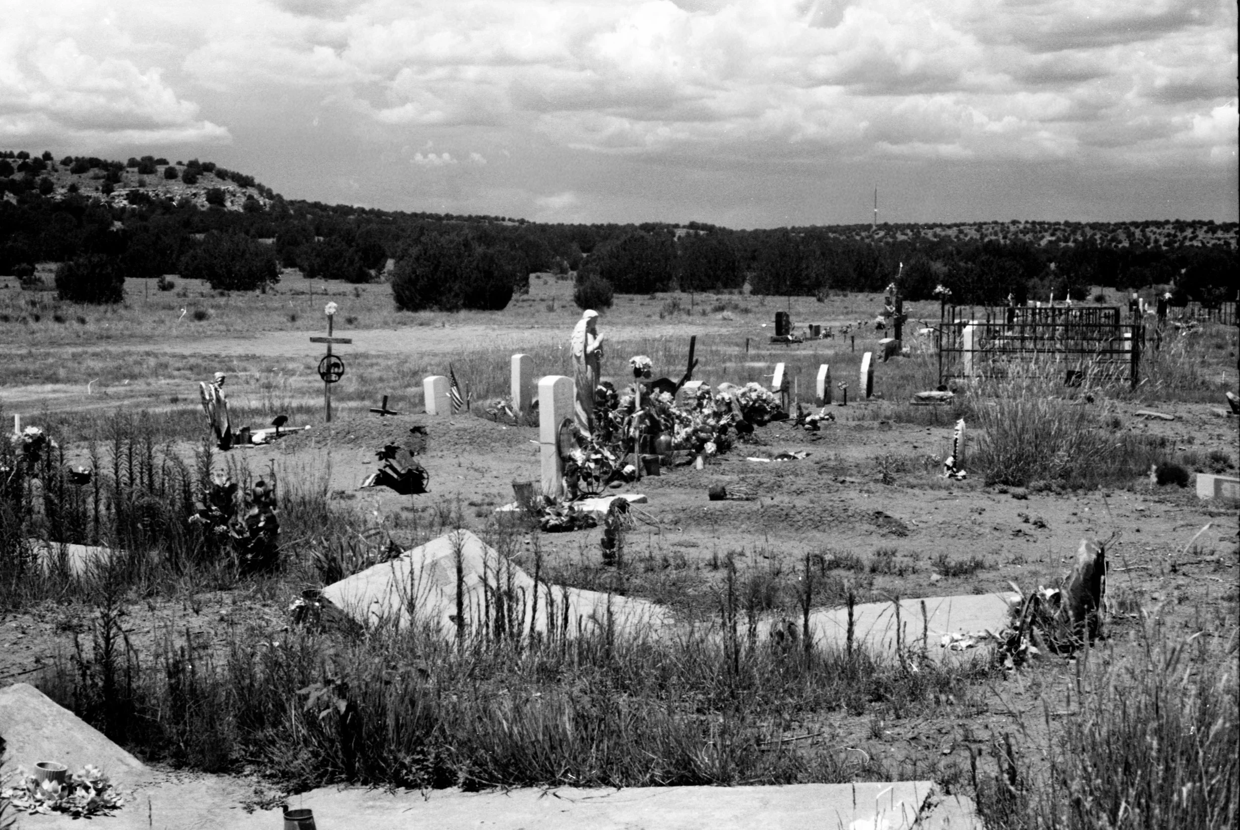 7.26.26 Leica Anton Chico Dilia 3.jpg