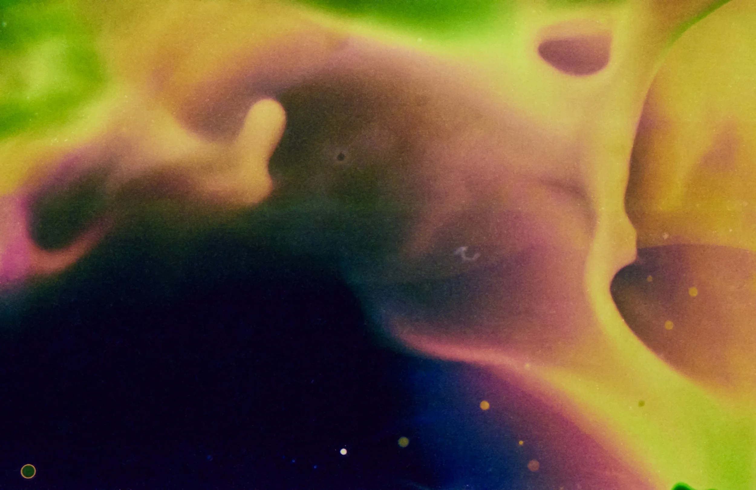 4.23.26 portra800 blix bath bosque 25.jpg