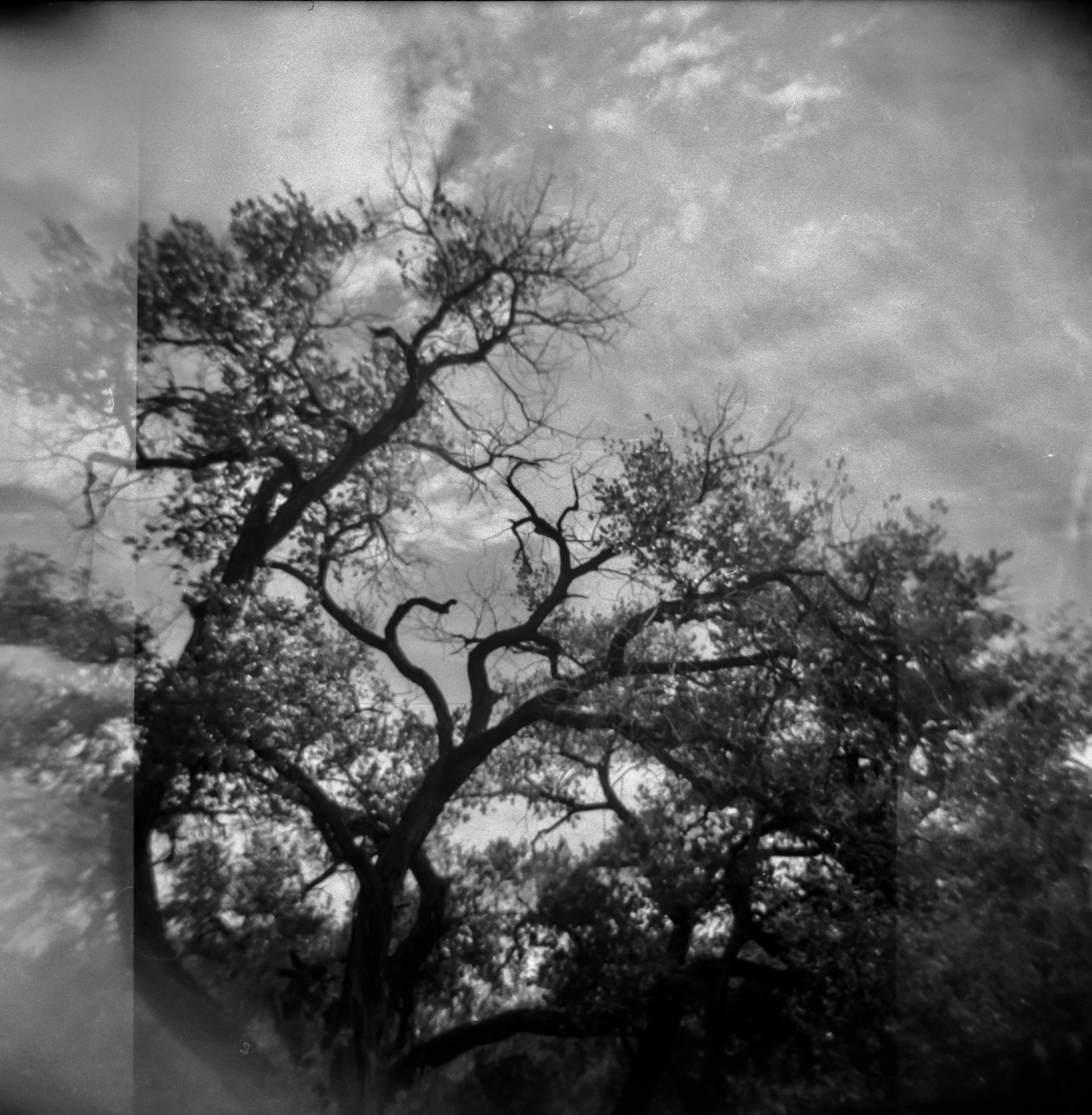 4.26.26 120 Holga Portra400 4.jpg