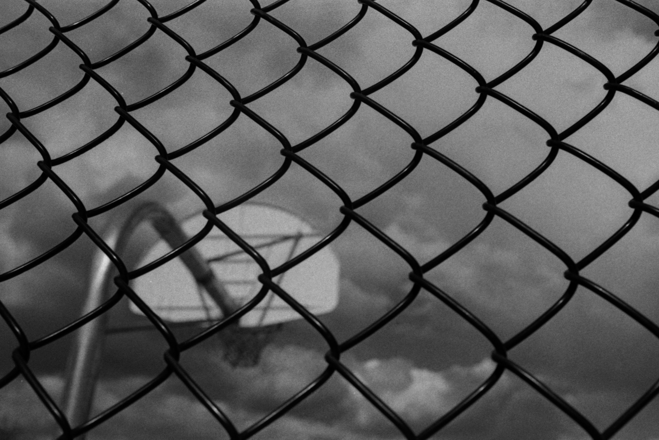 5.3.26 400Tmax Park Bosque 35mm 13.jpeg