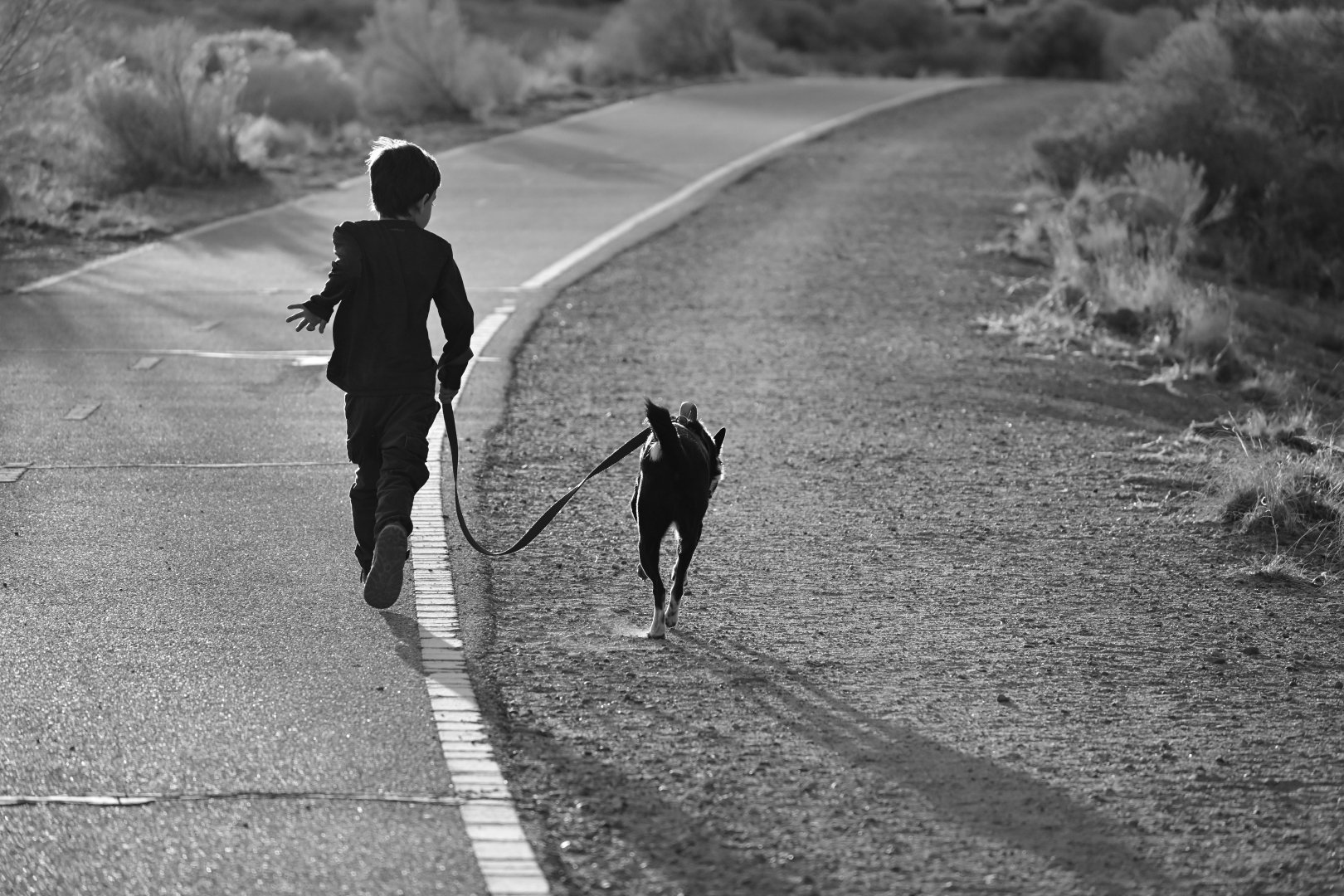 DSC_0248.jpeg