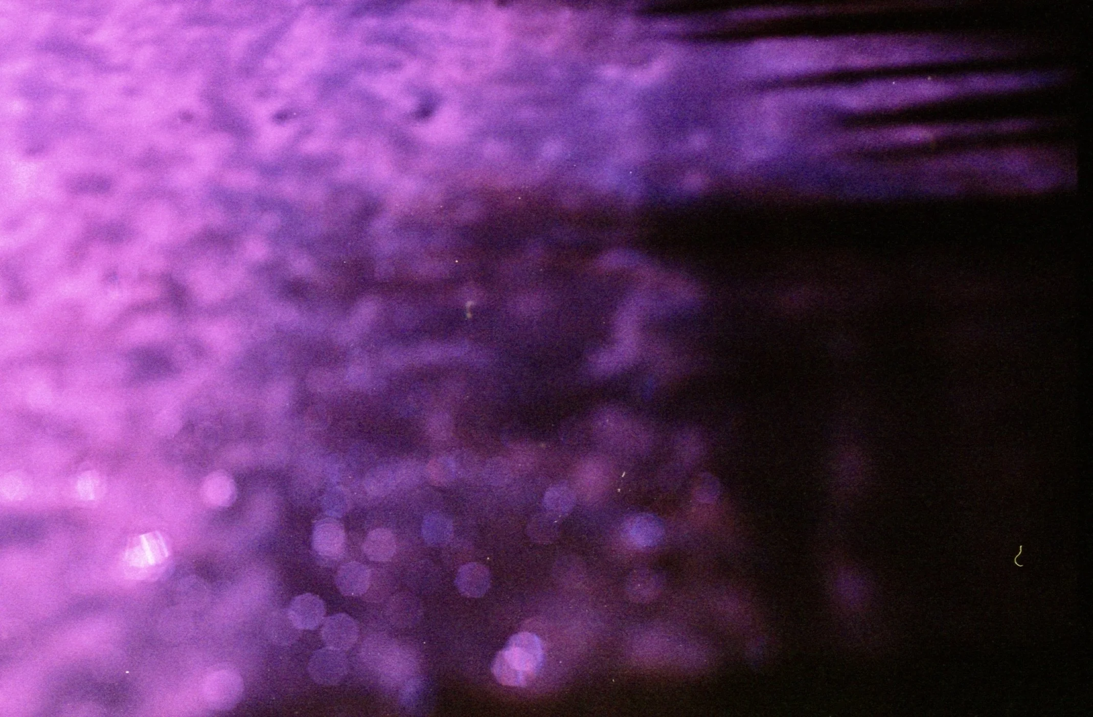 5.14.26NikonF2First Roll.  19.jpeg