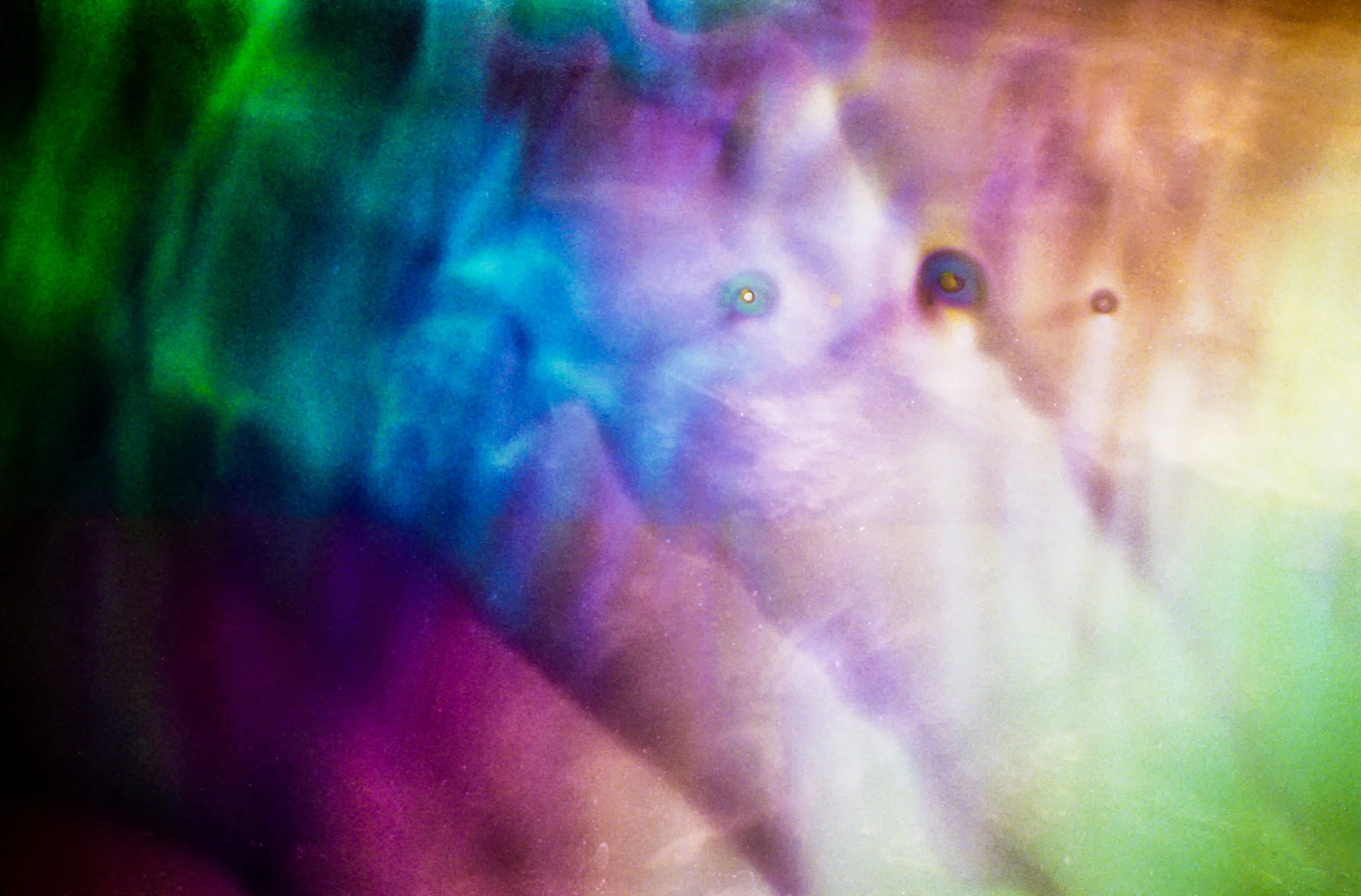 4.23.26 portra800 blix bath bosque 38.jpg