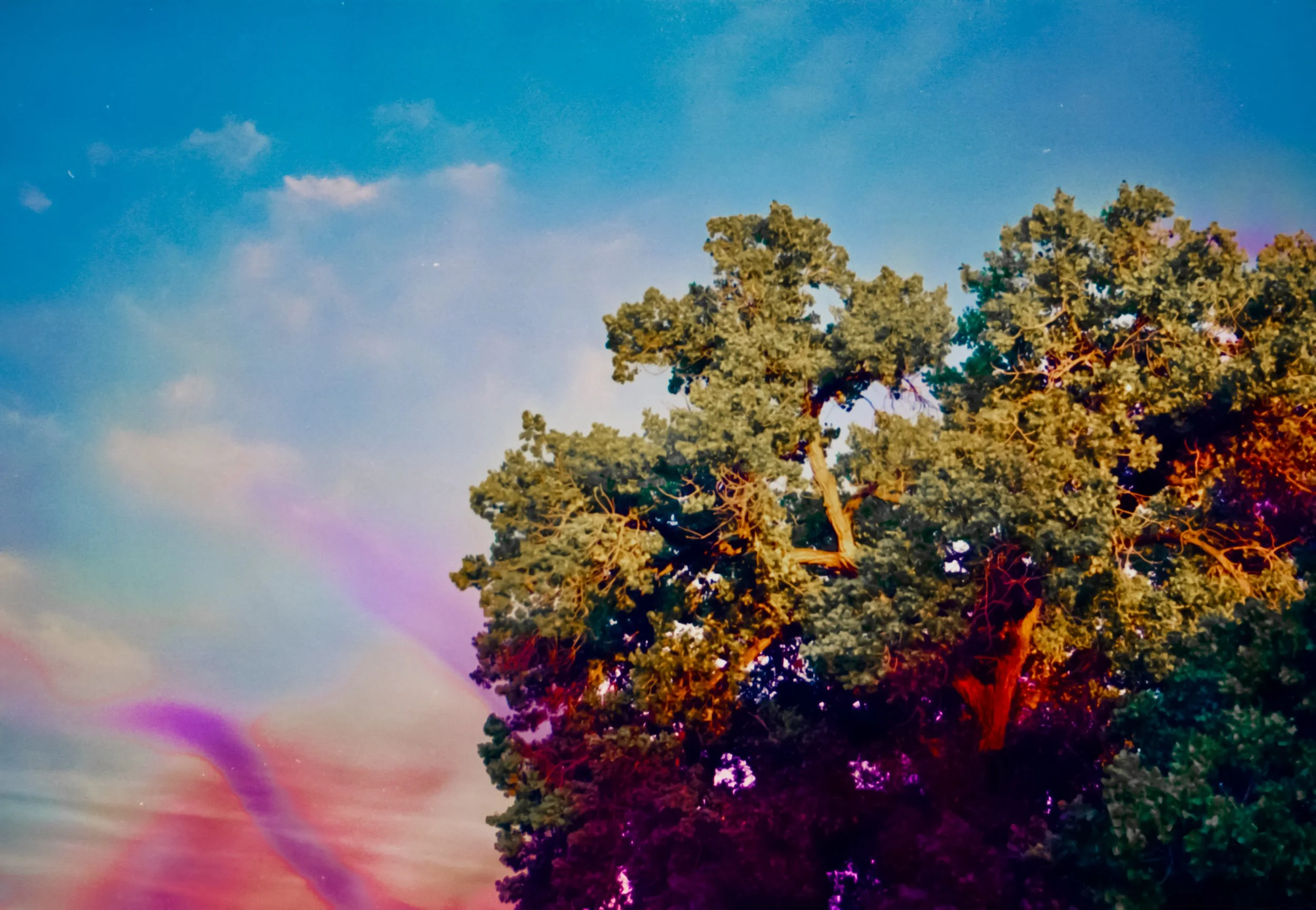 4.23.26 portra800 blix bath bosque 35.jpg