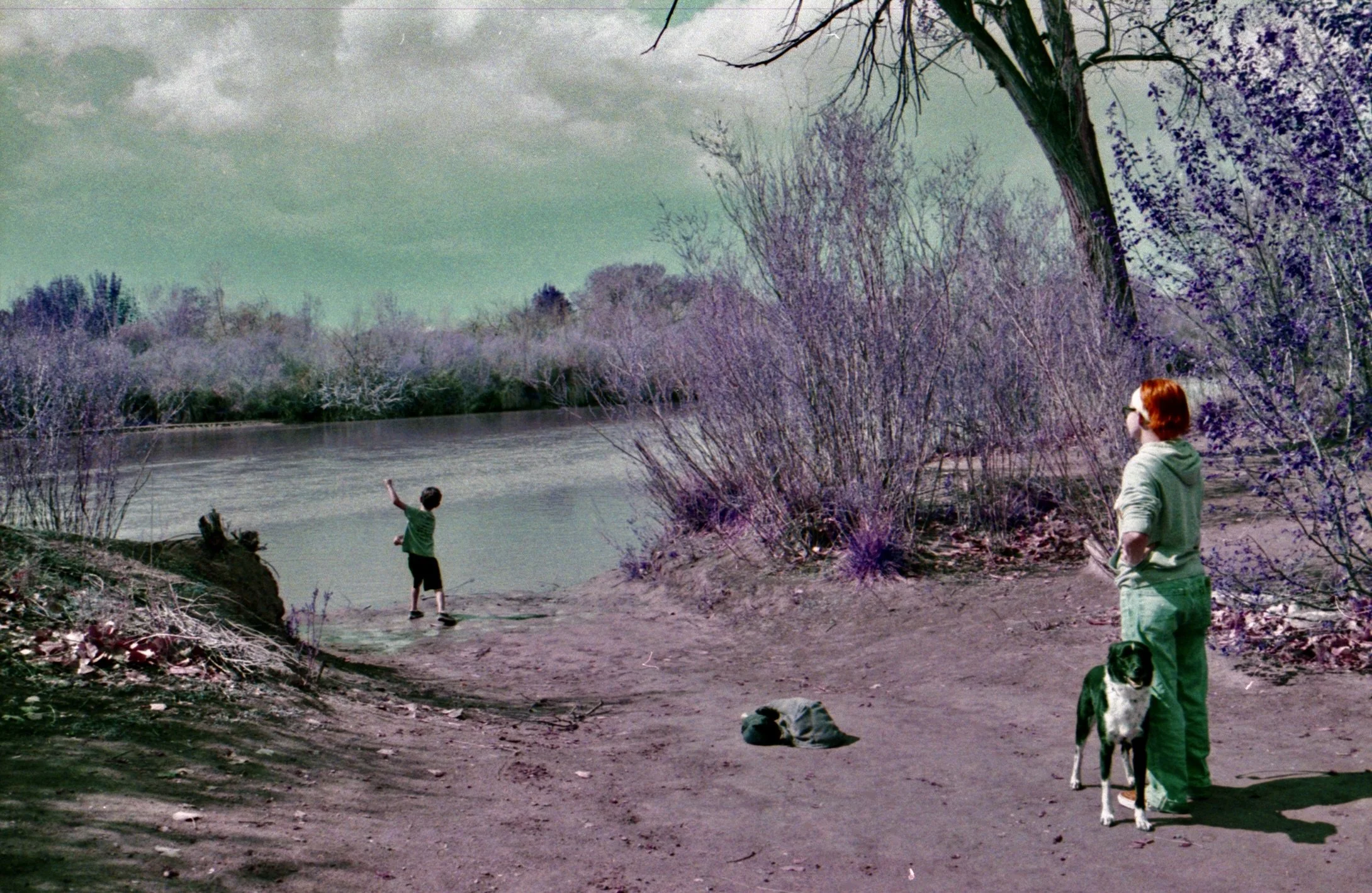 A Return to 35mm Film with a 47 year old fully manual camera. Nikon FM