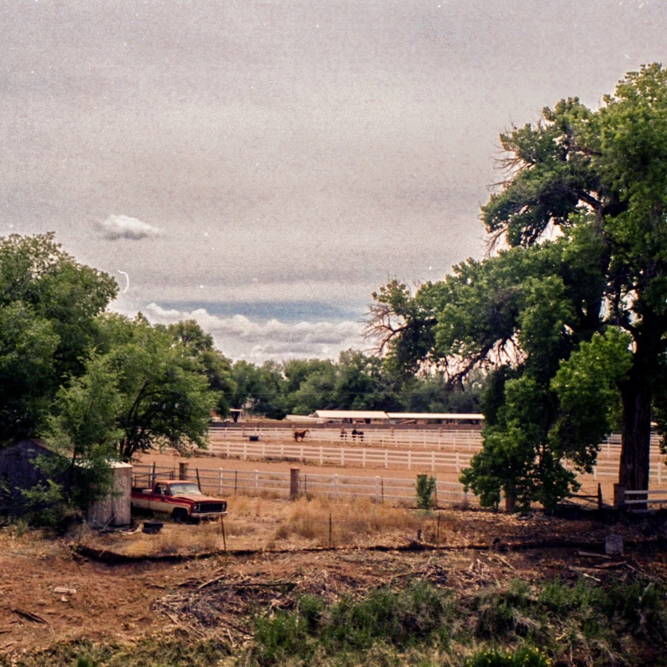 5.3.26 Ektar400 Bosque 35mm 25.jpg
