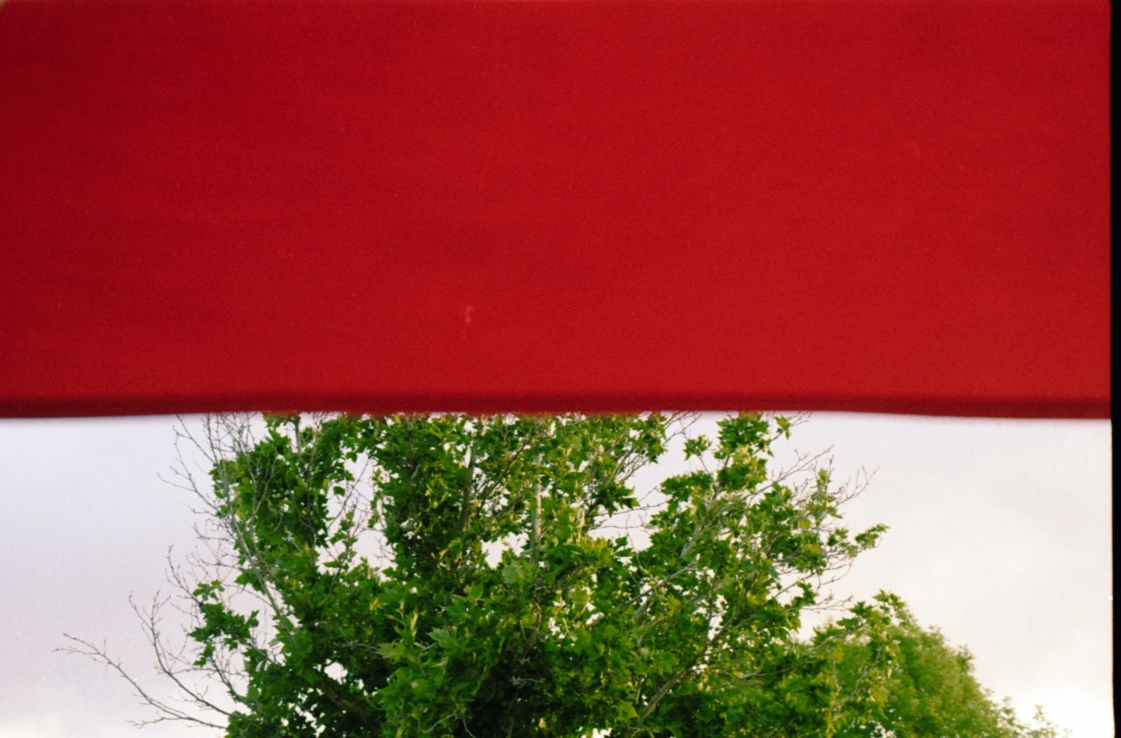 5.14.26NikonF2First Roll.  33.jpeg