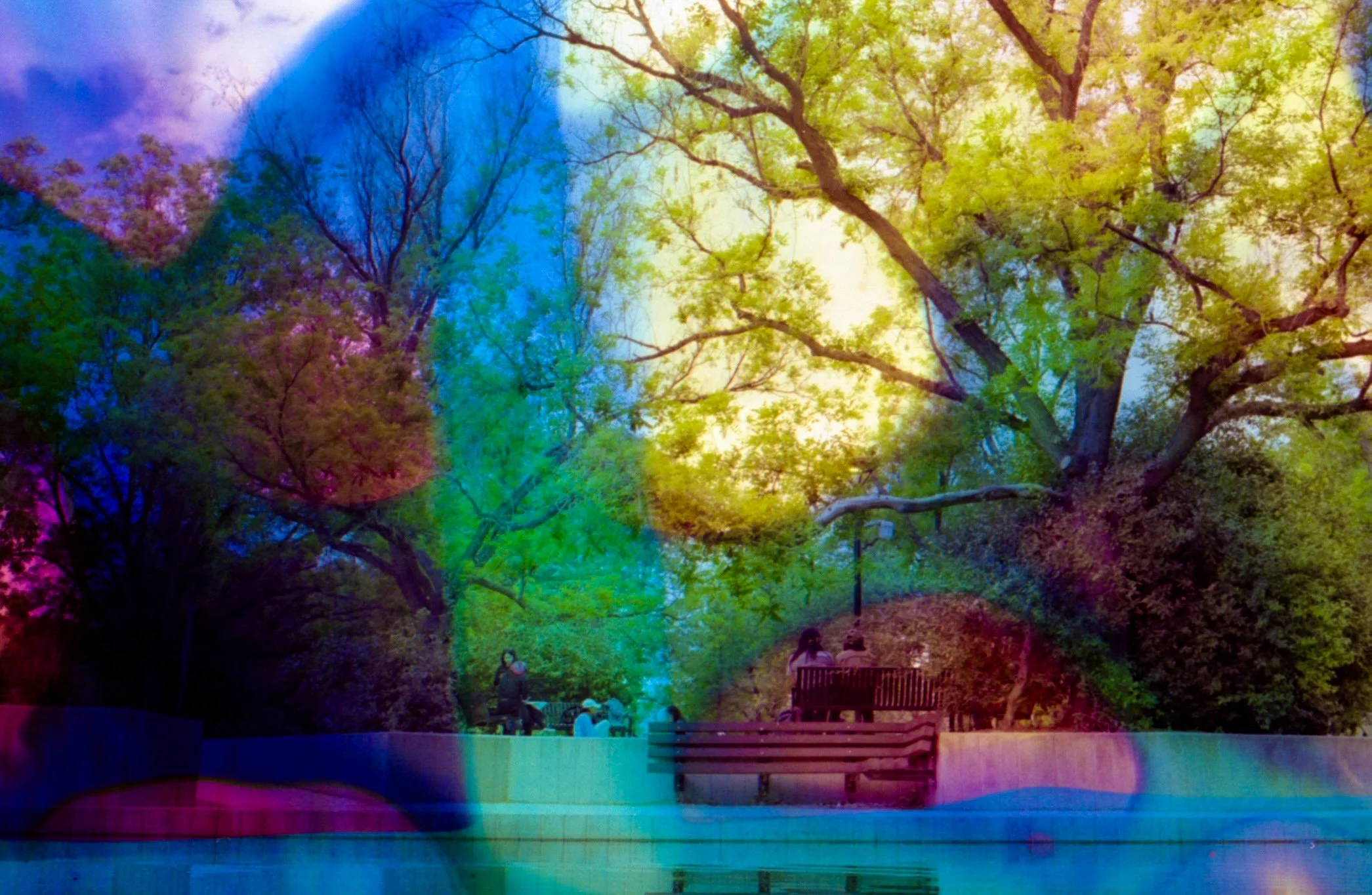 4.13.26 UNM Gold Blix 8.jpg