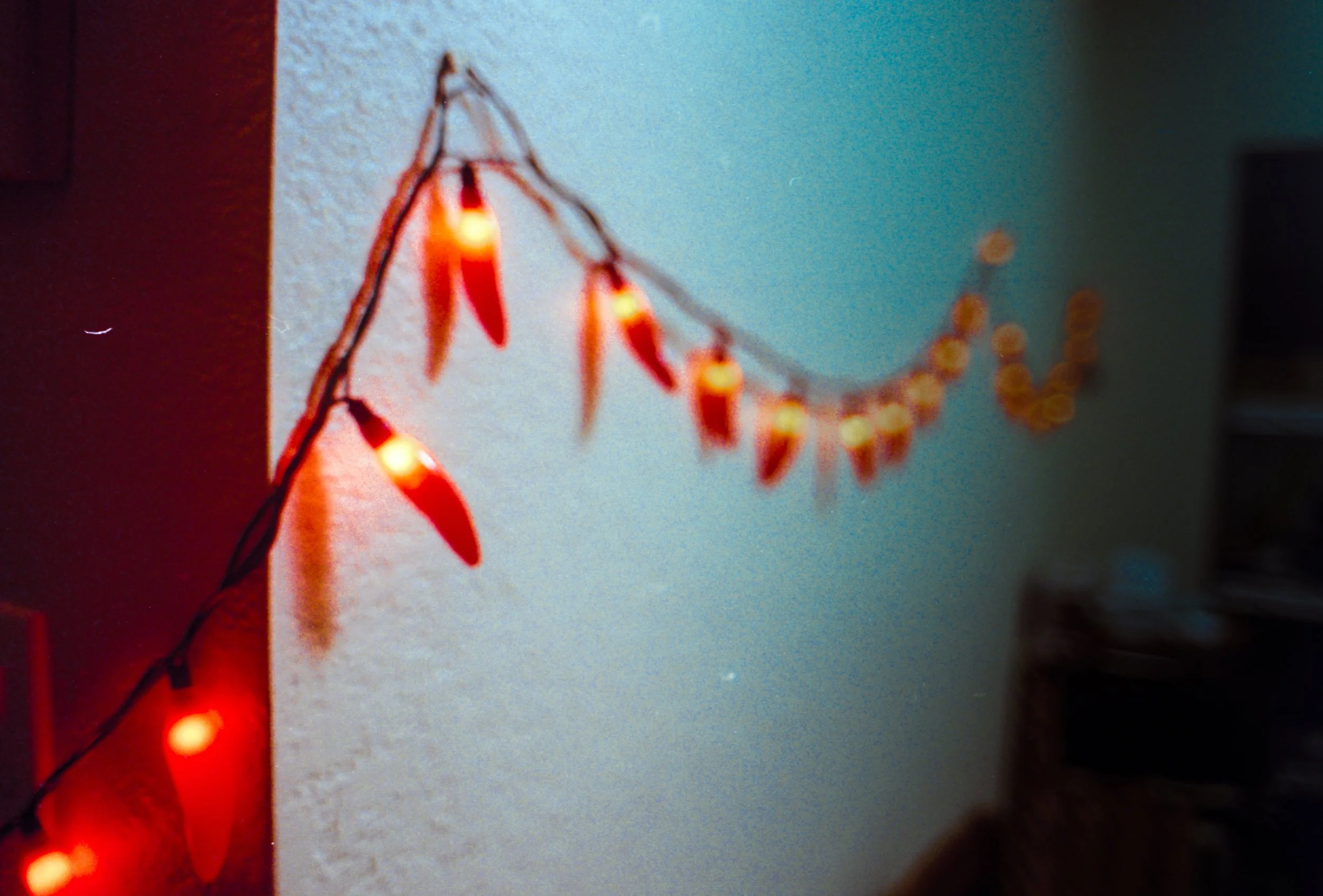 12.16.25 Fuji 400  UNM and Echoes 2.jpg