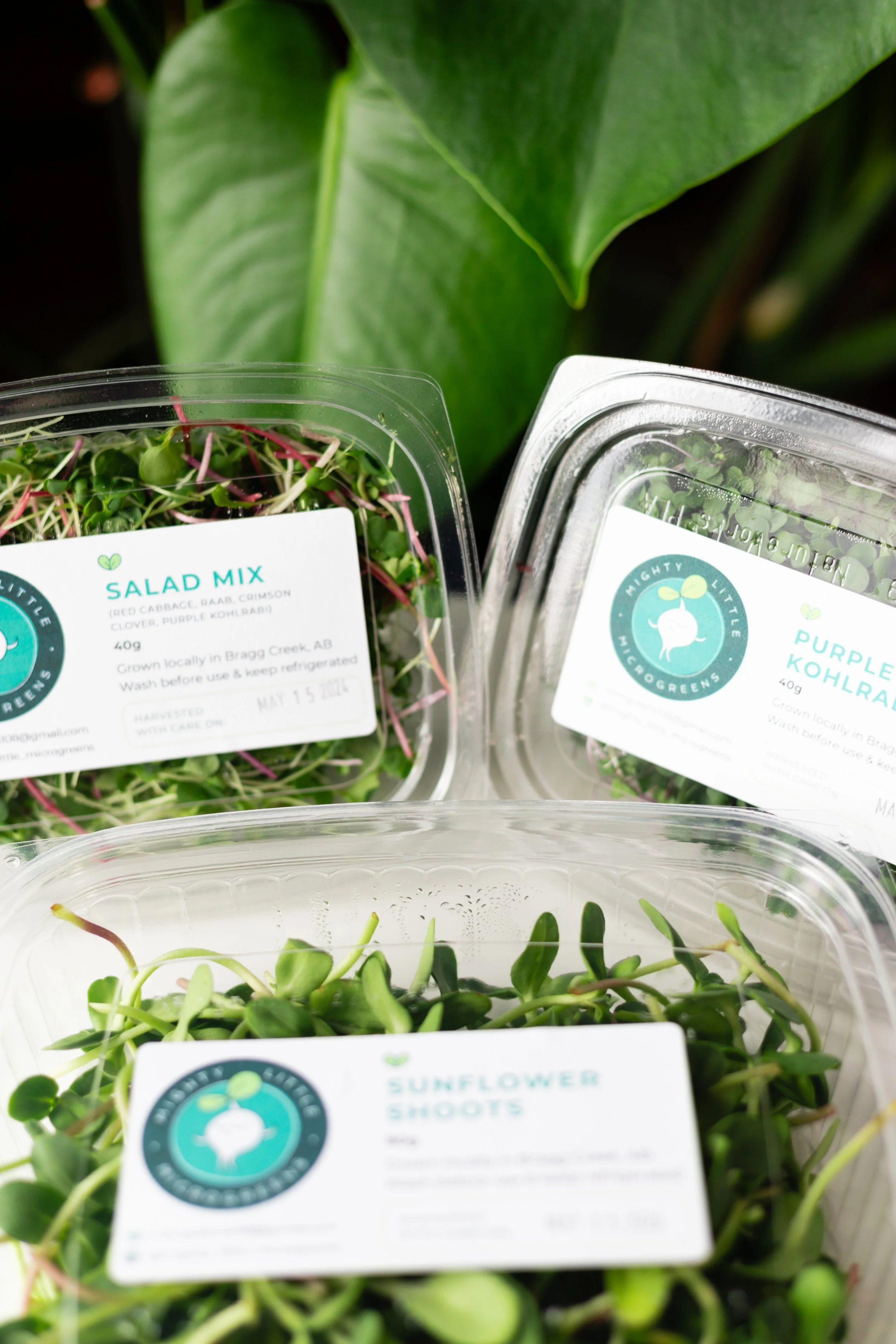 Monthly Subscription (5 Containers Bi-Weekly)