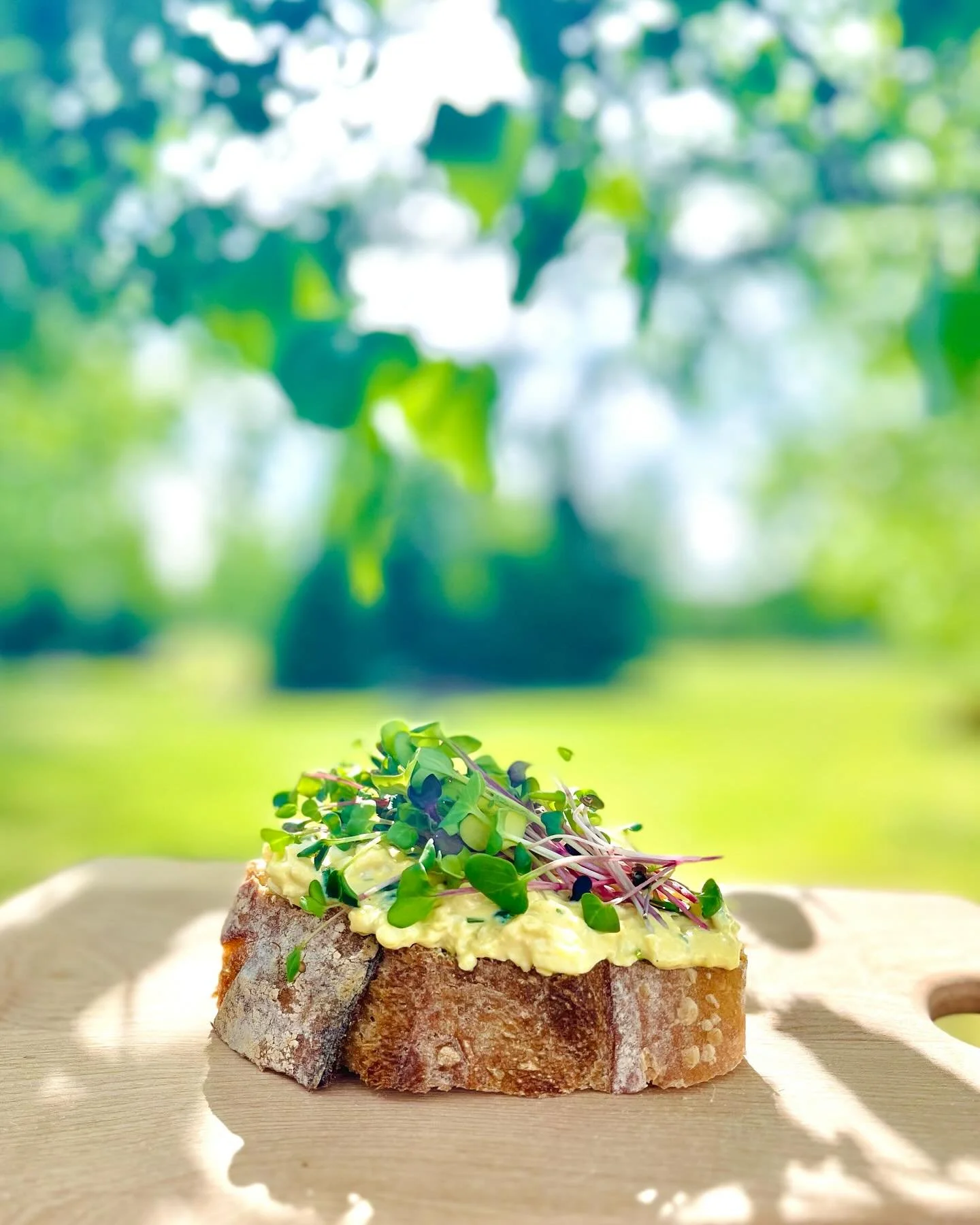 It&rsquo;s an open face sourdough sandwich kinda day! 

#microgreens #local #localgreens #nutritious #healthylunch #supportsmallbusiness #eatyourveggies 🌱