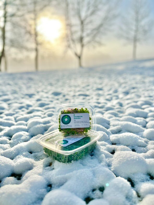 What's the healthiest thing in your fridge?

We deliver our micros hours after they're harvested, as our passion is growing healthy LIVING food for our community! 

Check out our website for info on our weekly subscription program 🌱