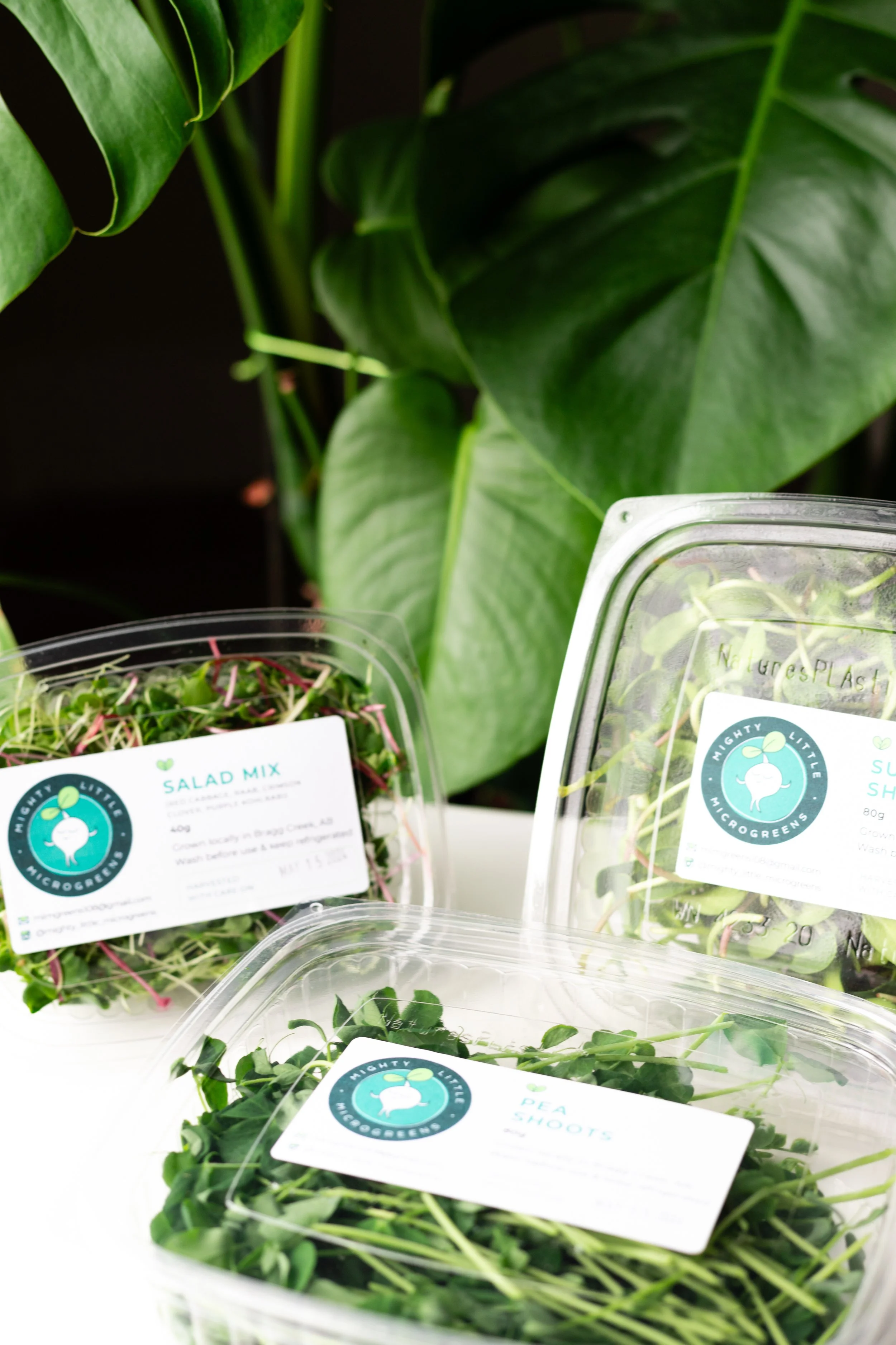 Monthly Subscription (2 Containers Weekly)